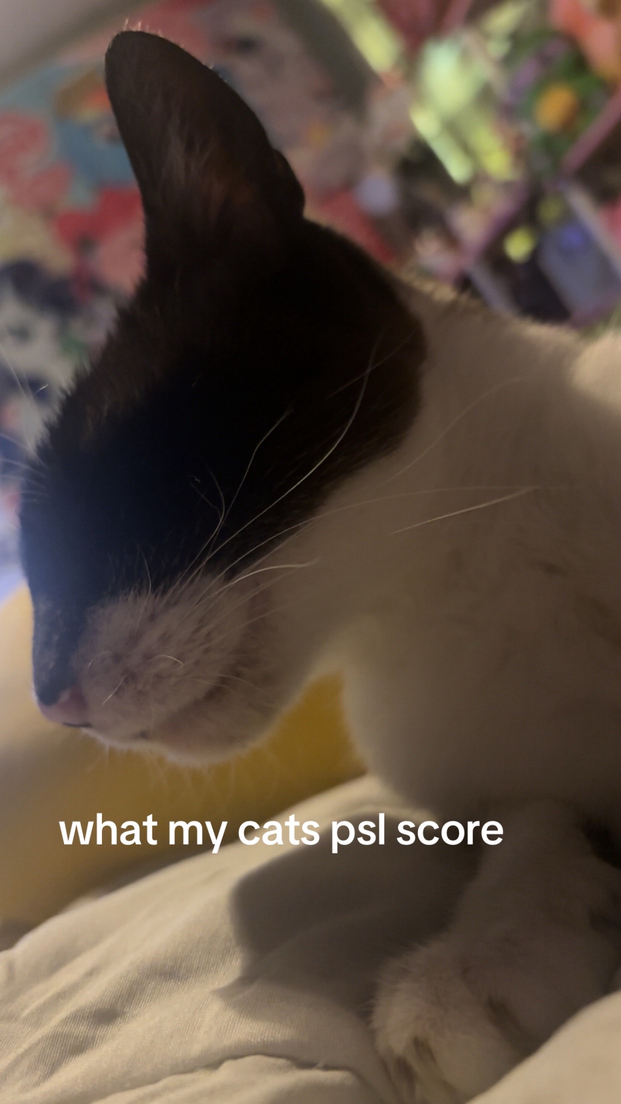 @eri