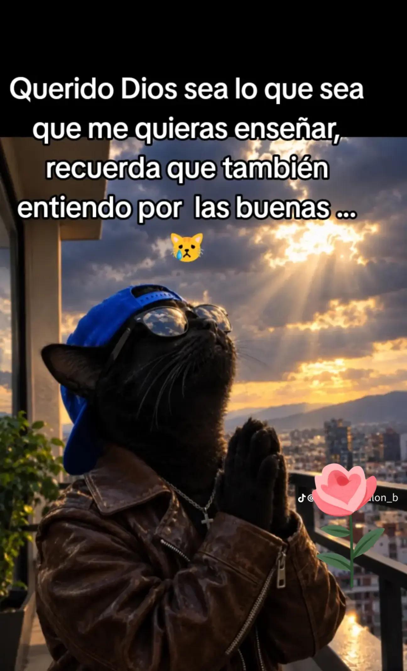 @rochy🌹🌹🌹