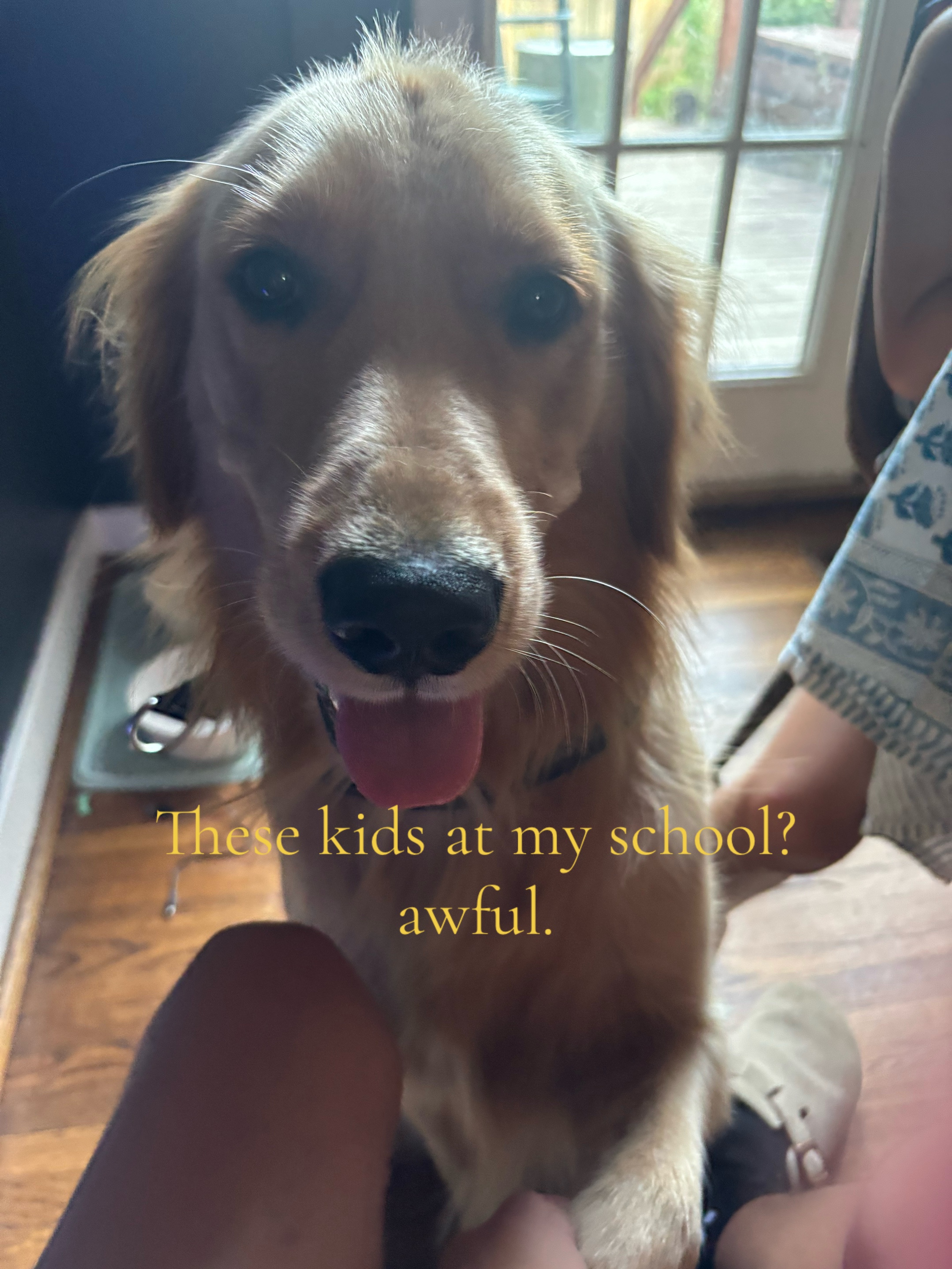 @WeezerFanpage