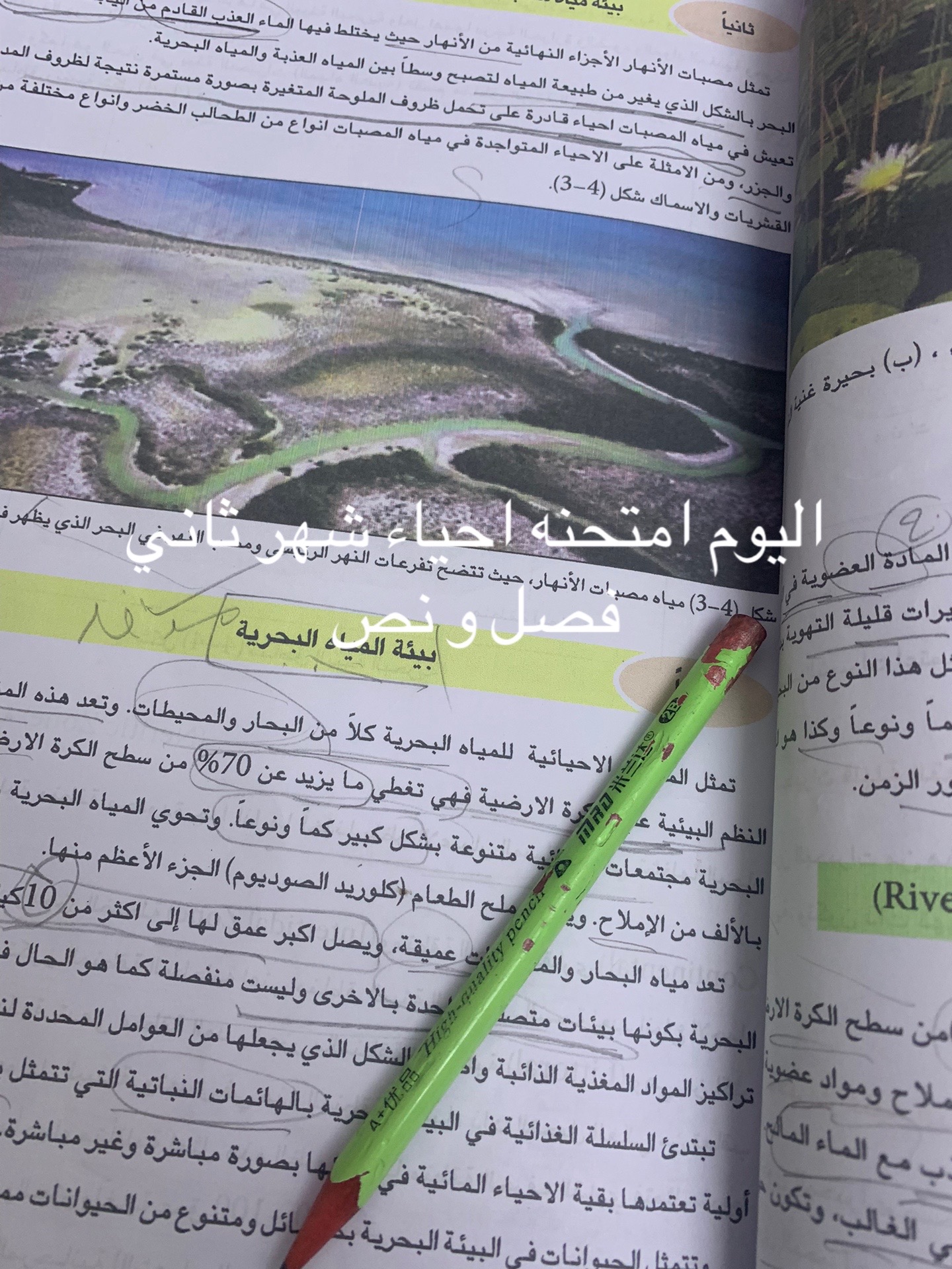 @Rawan