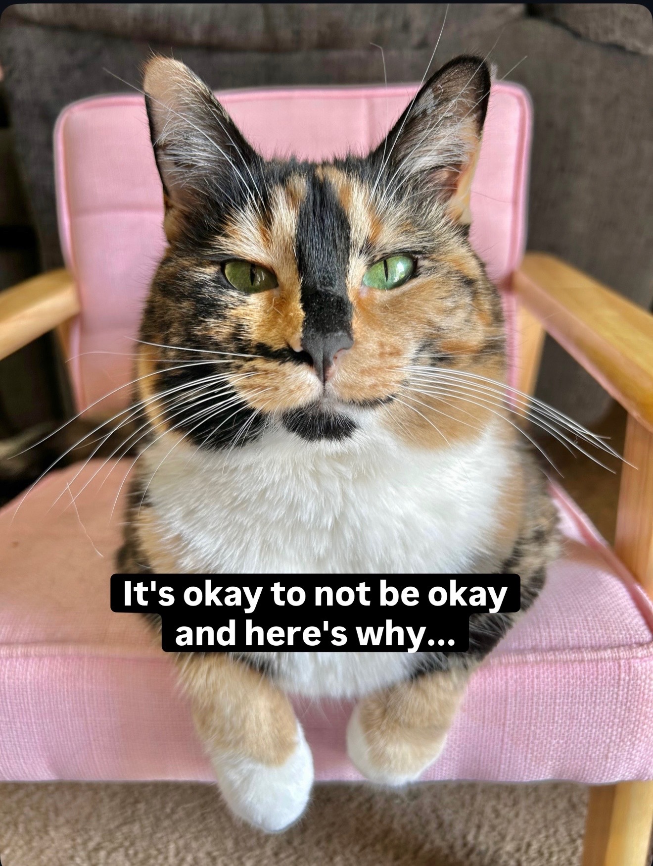 @SnickersTheSmilingCat