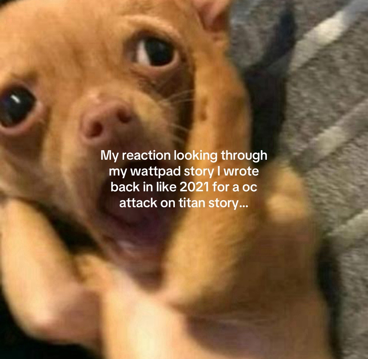 @Cvxxidyʕ•ᴥ•ʔ