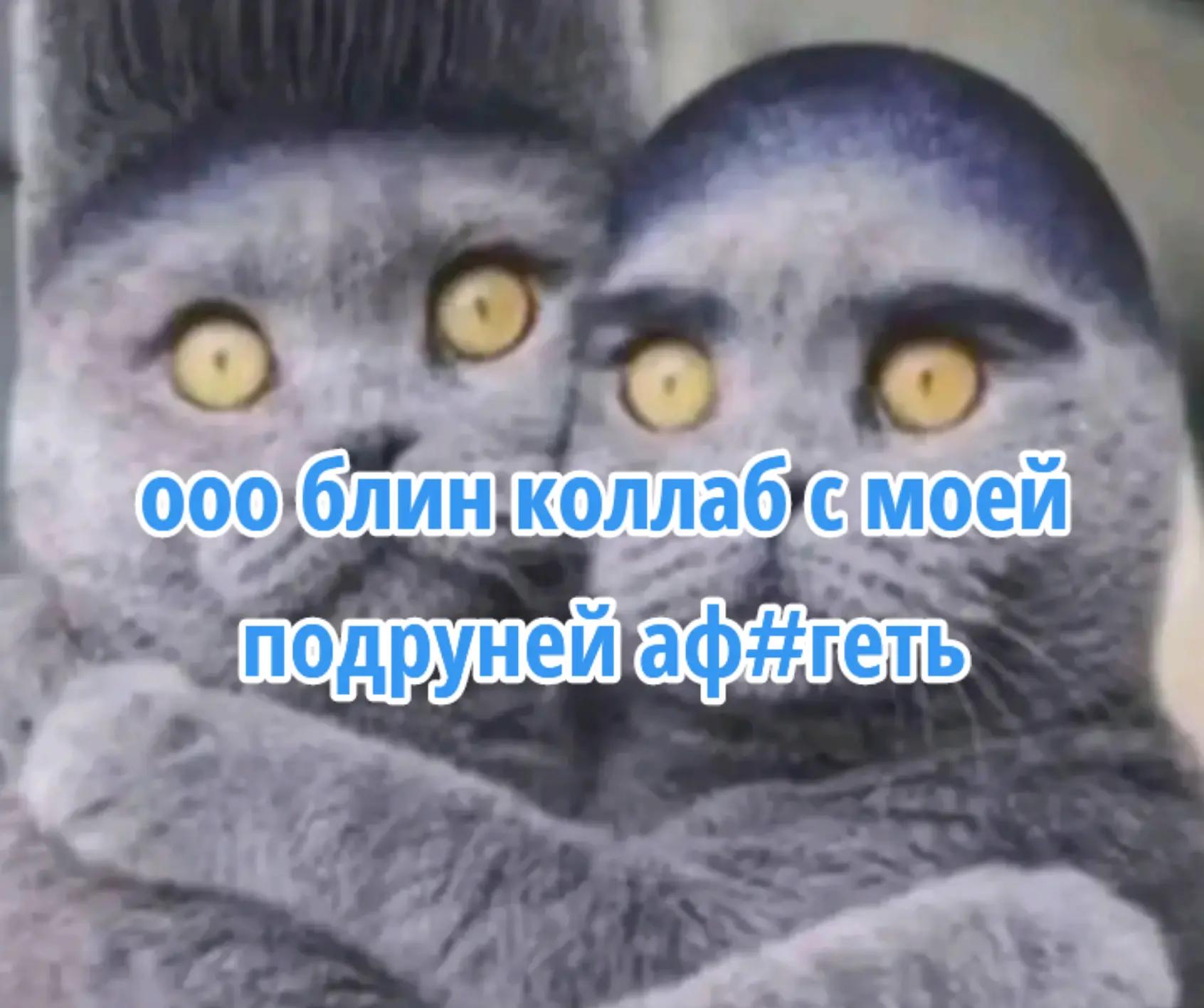 @14Zionats88(!)