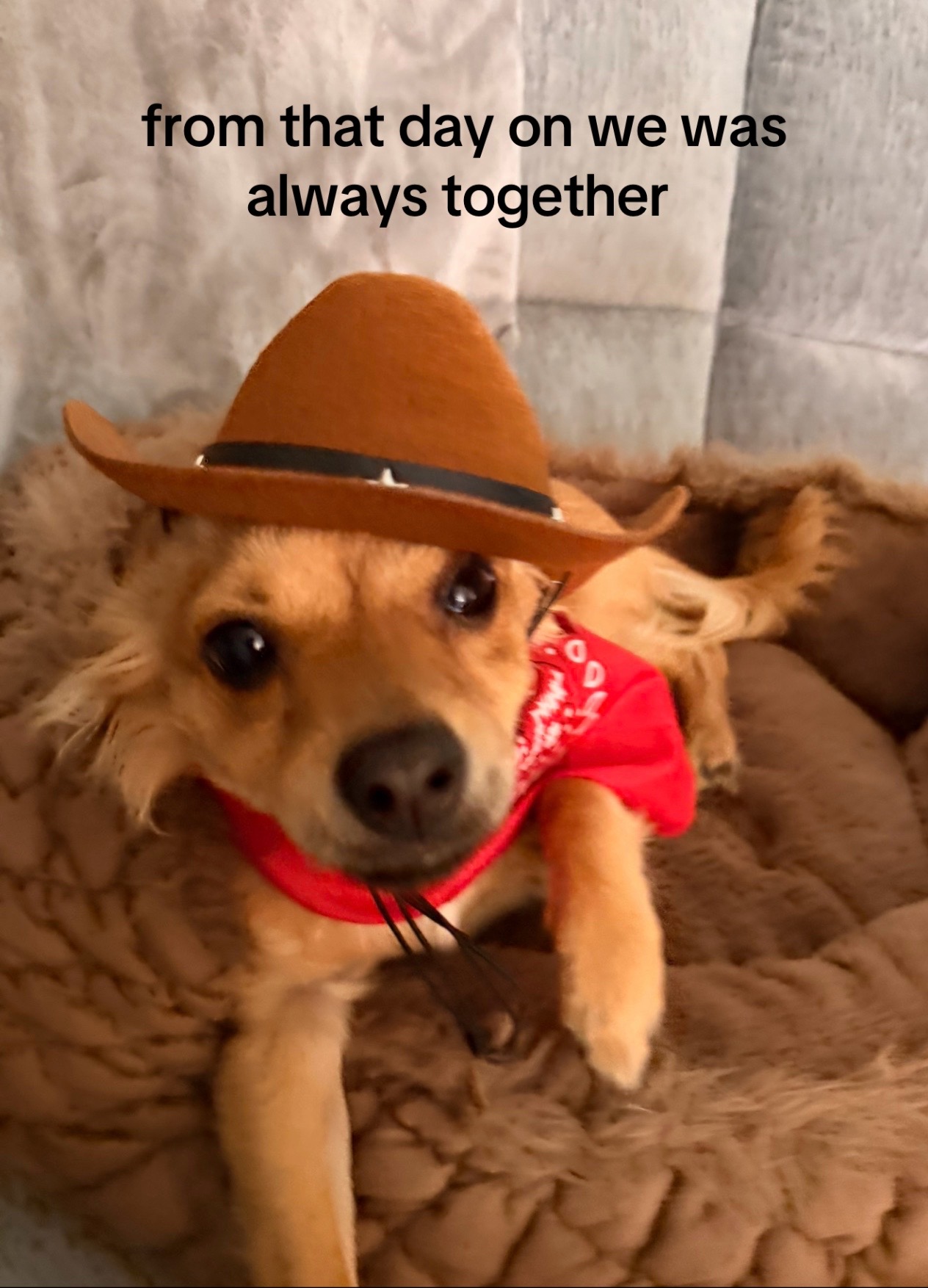 @a 🤍