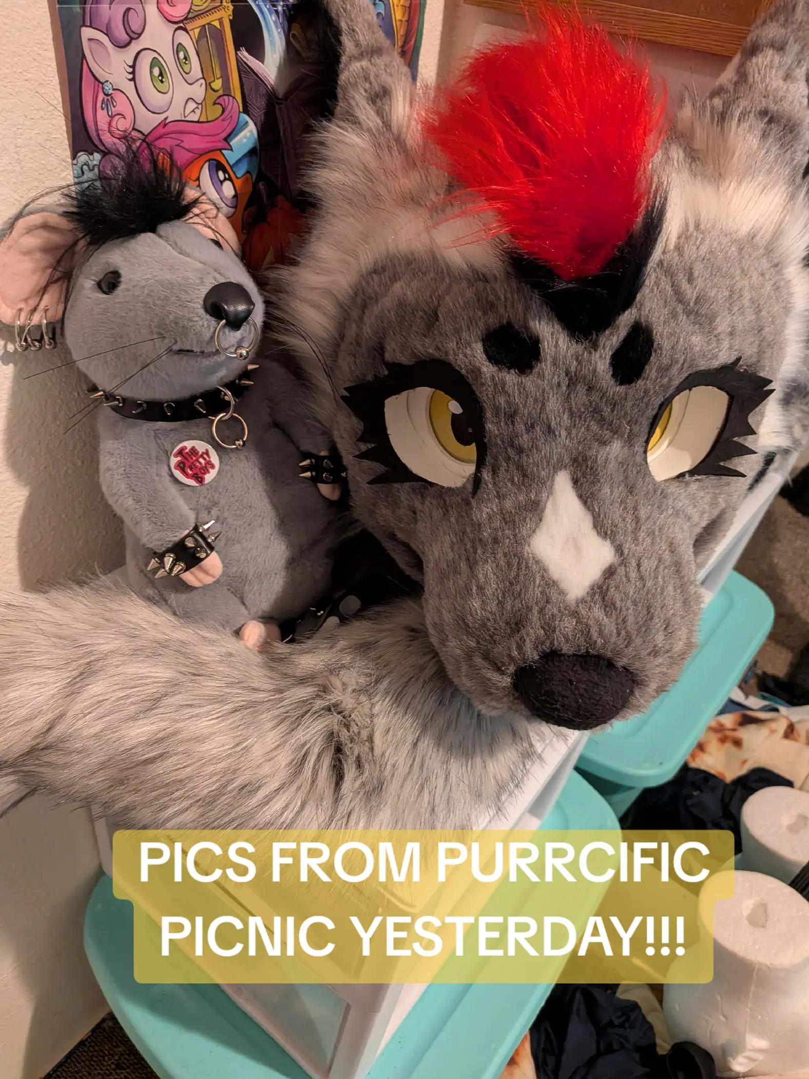 @Frostbite_
