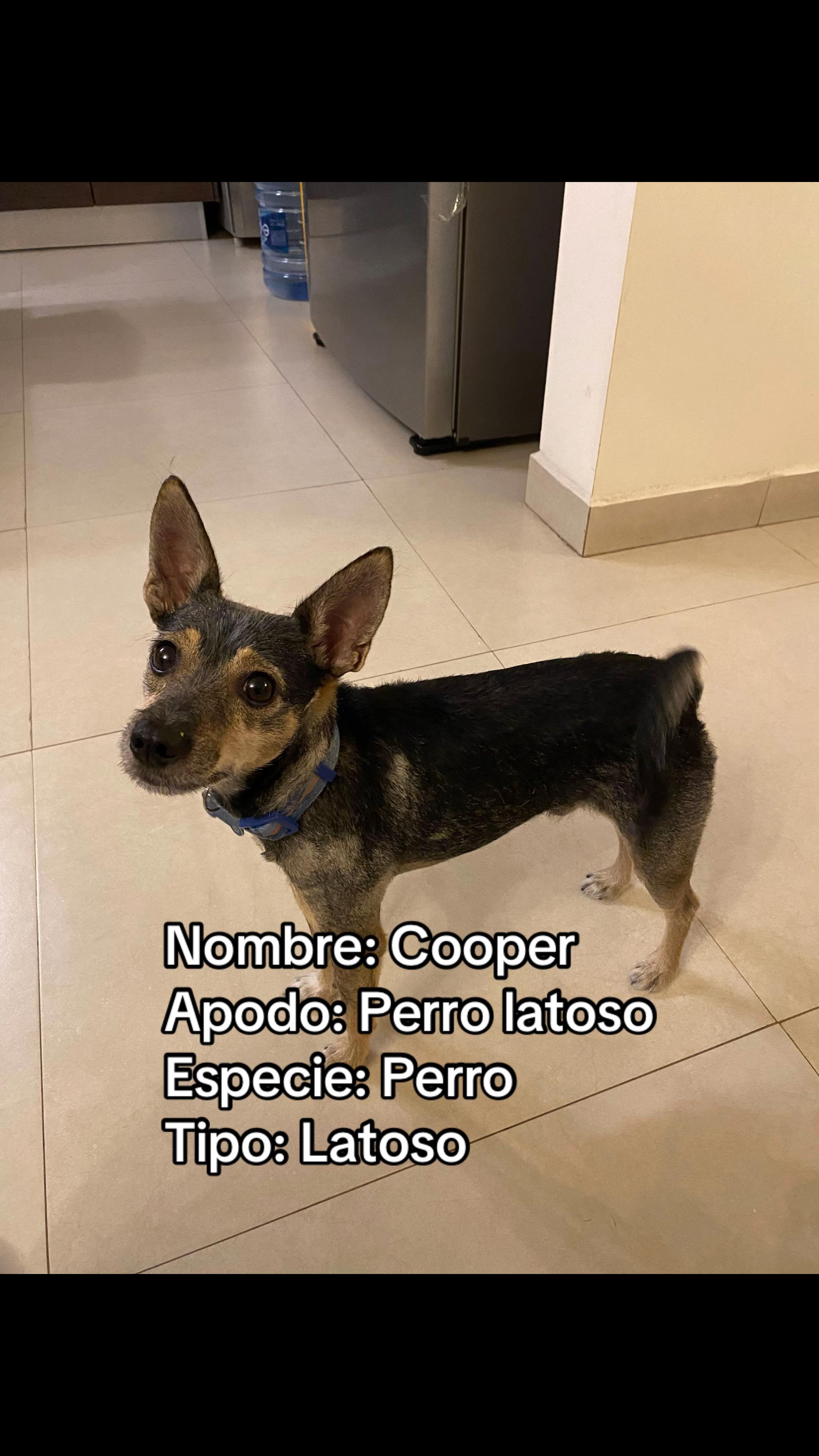 @Sa&uacute;l Eduardo Ortega