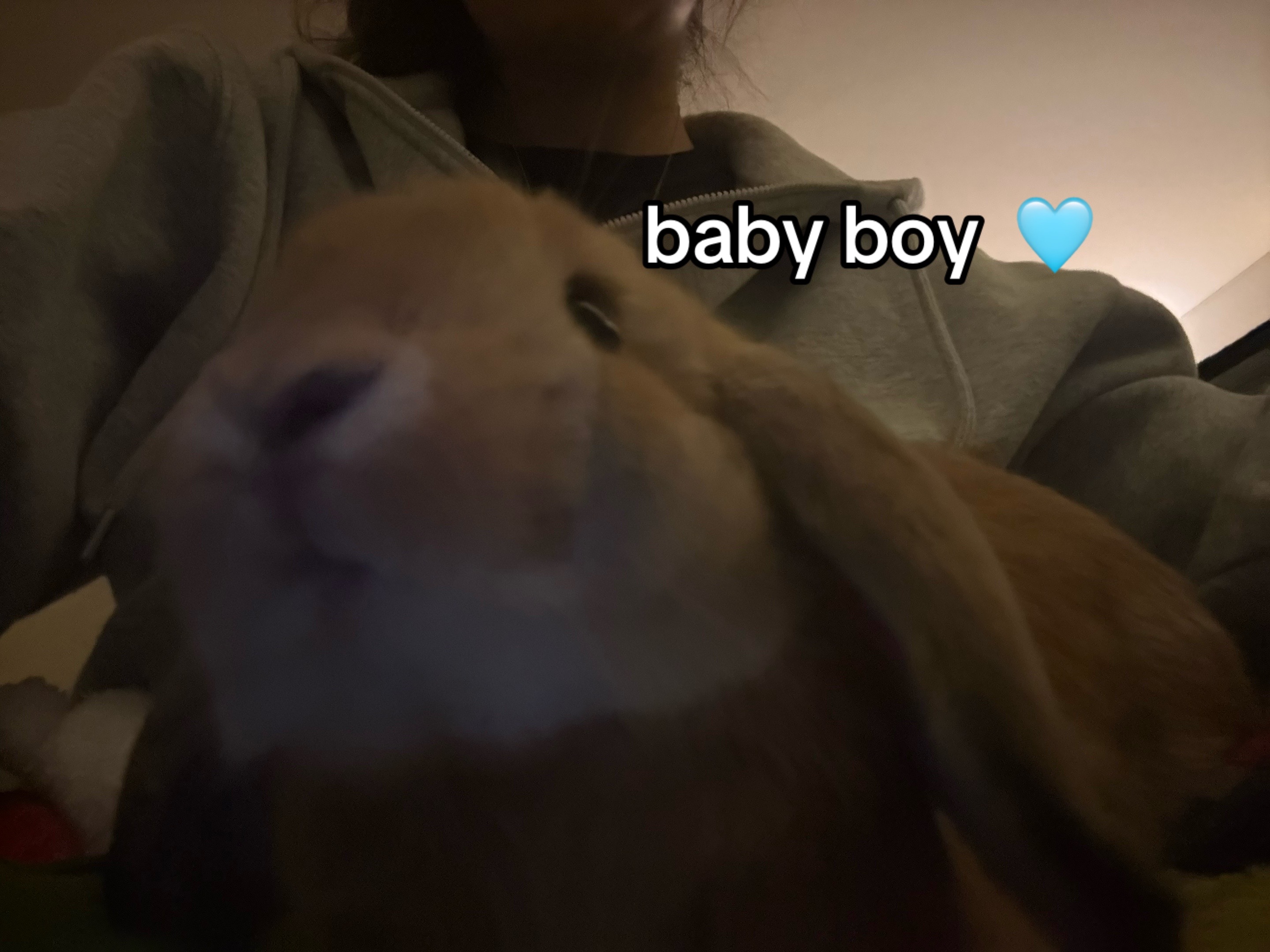 @Liiaa_feelzx🥰