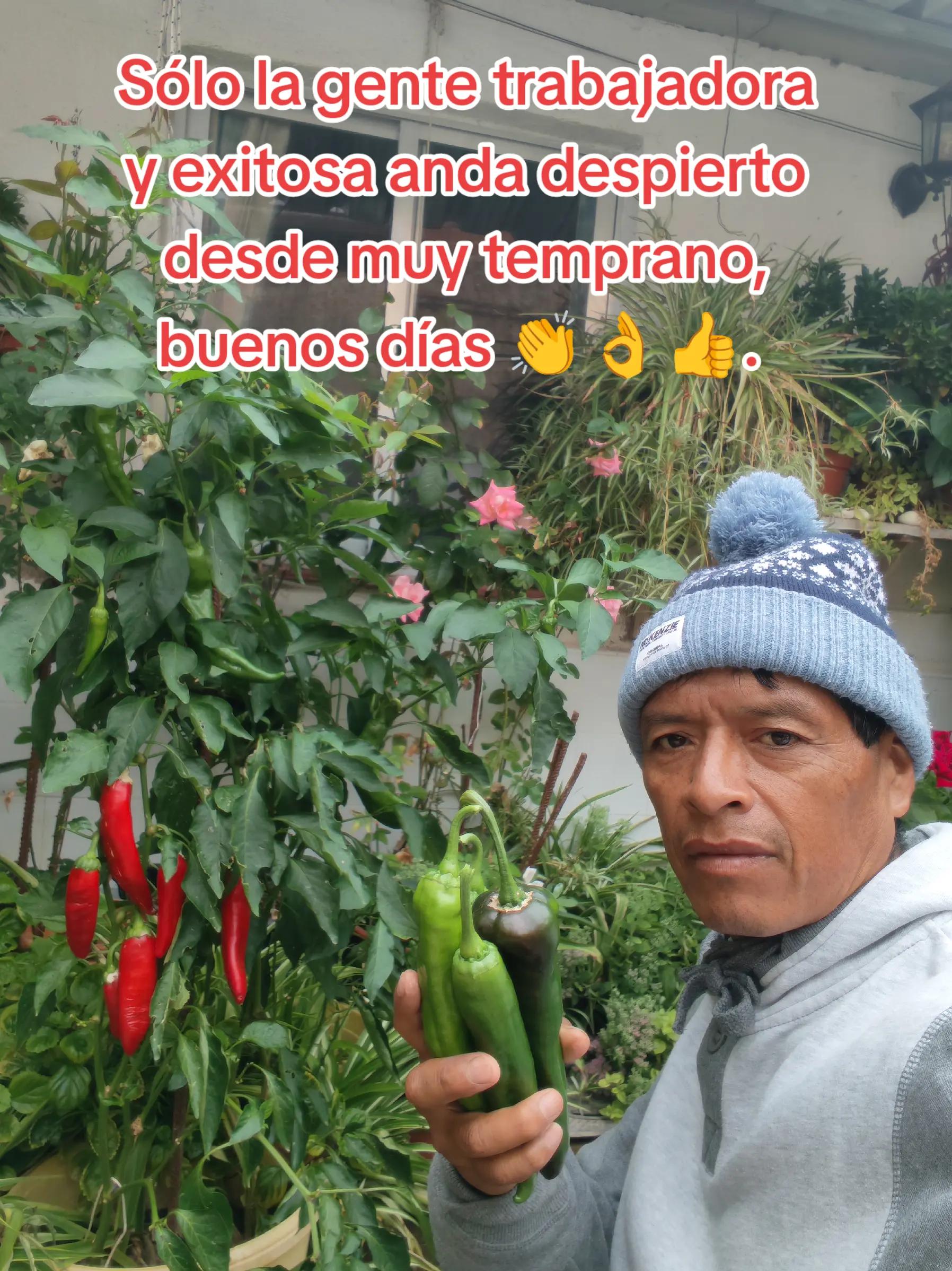 @Fernando