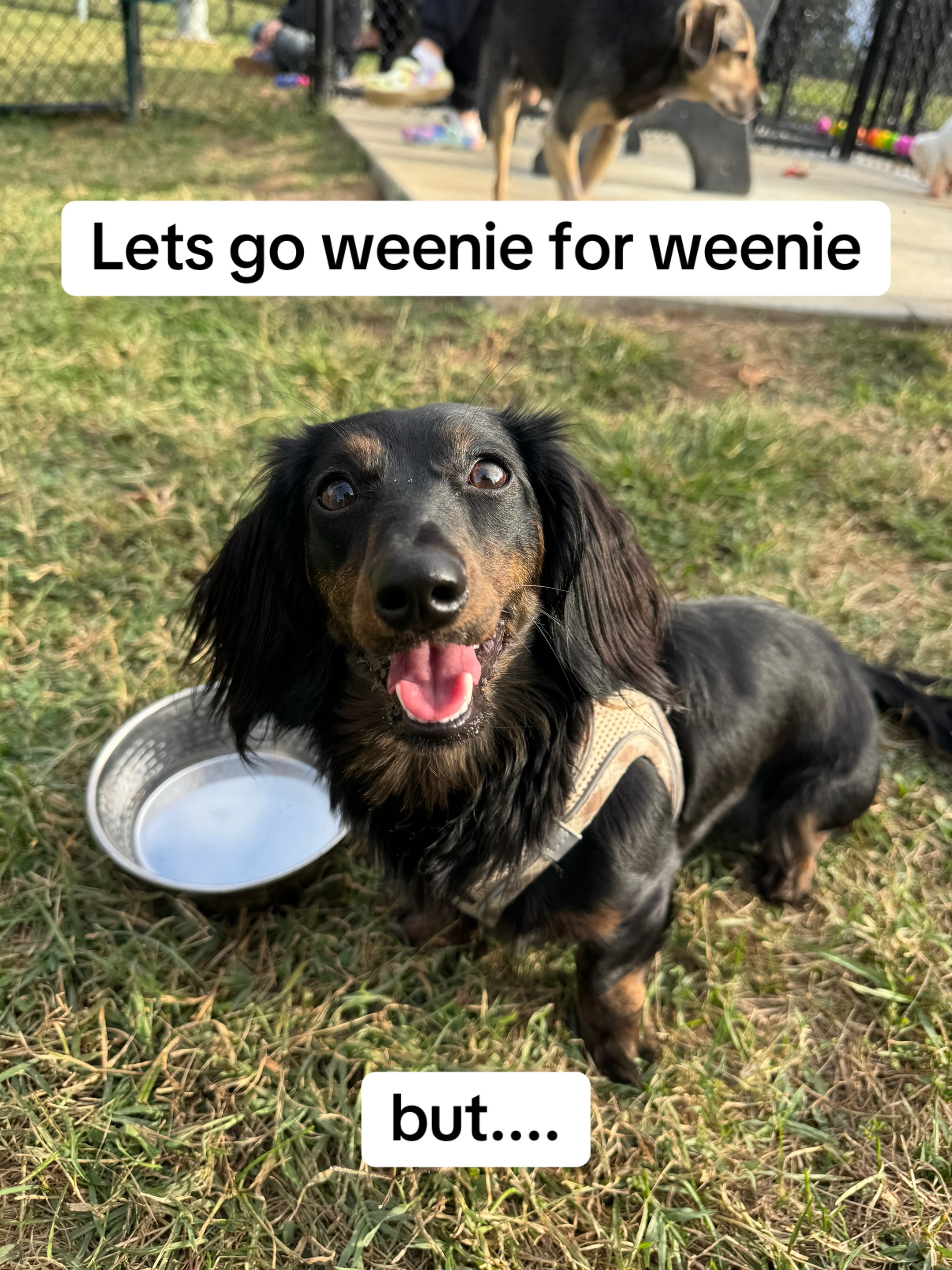 @walkwithceline