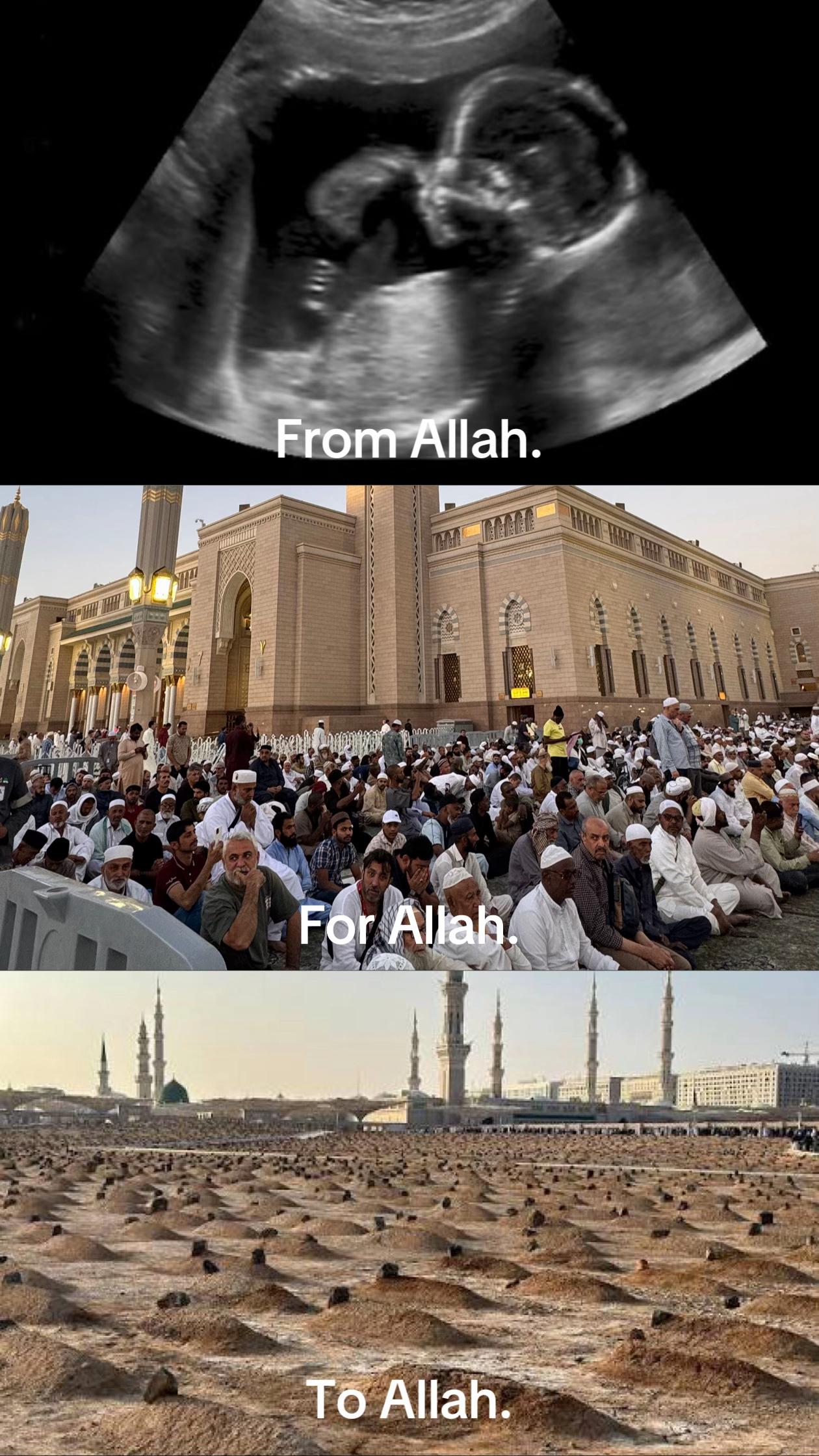 @Noour al Aisha | Rahle Turizm