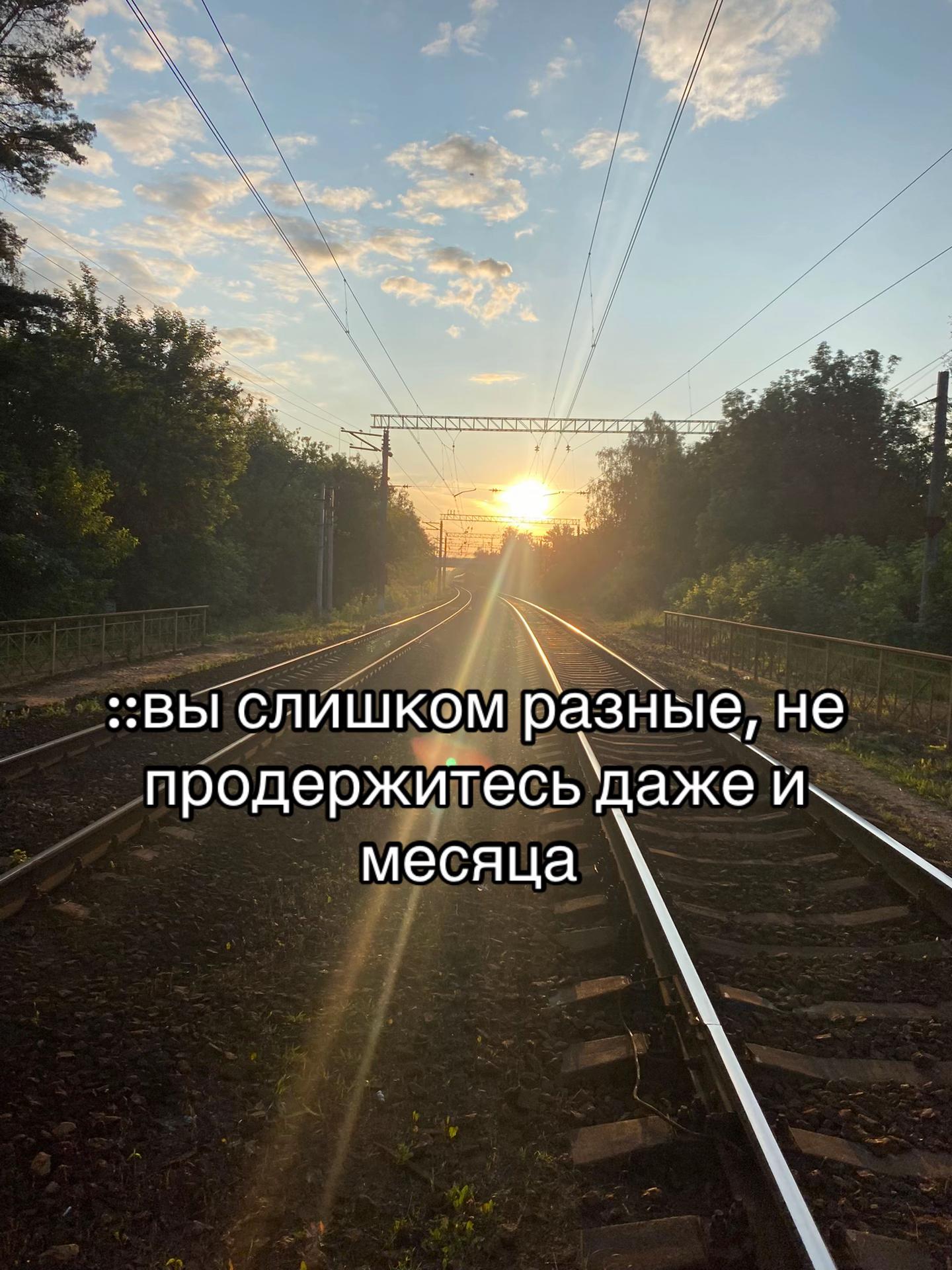 @нагетс ⌕