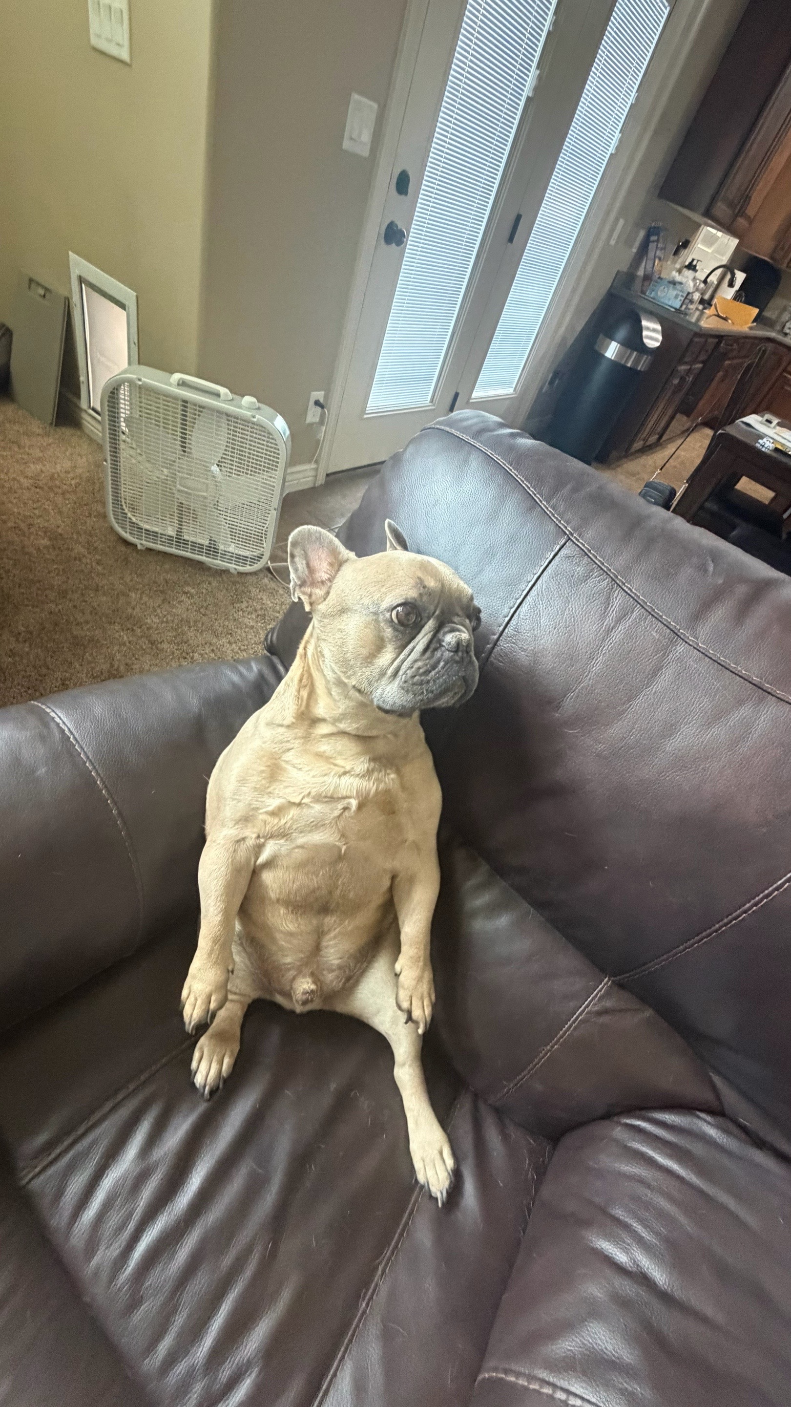 @bentleytheg0at