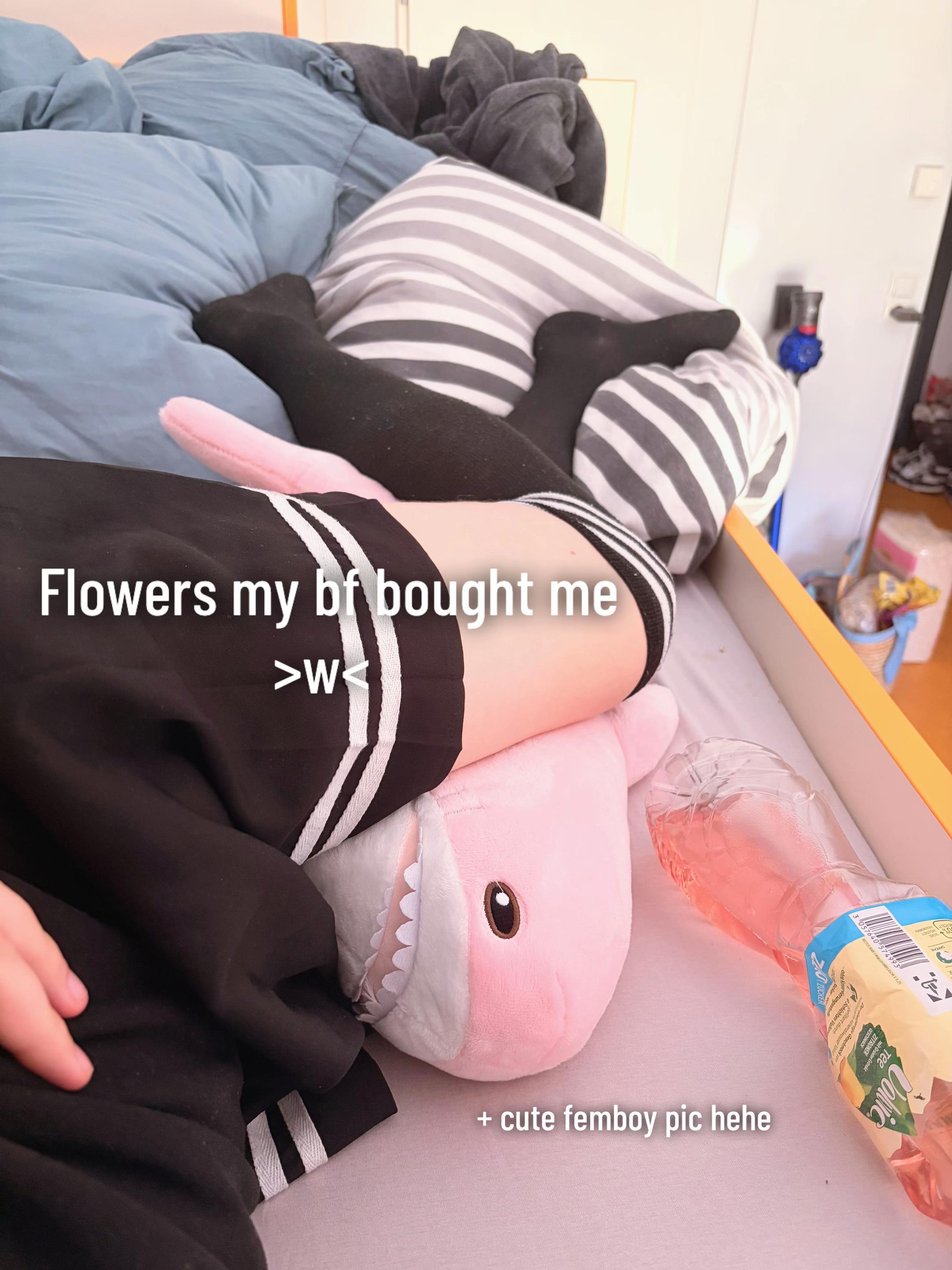 @Femboy_Nily