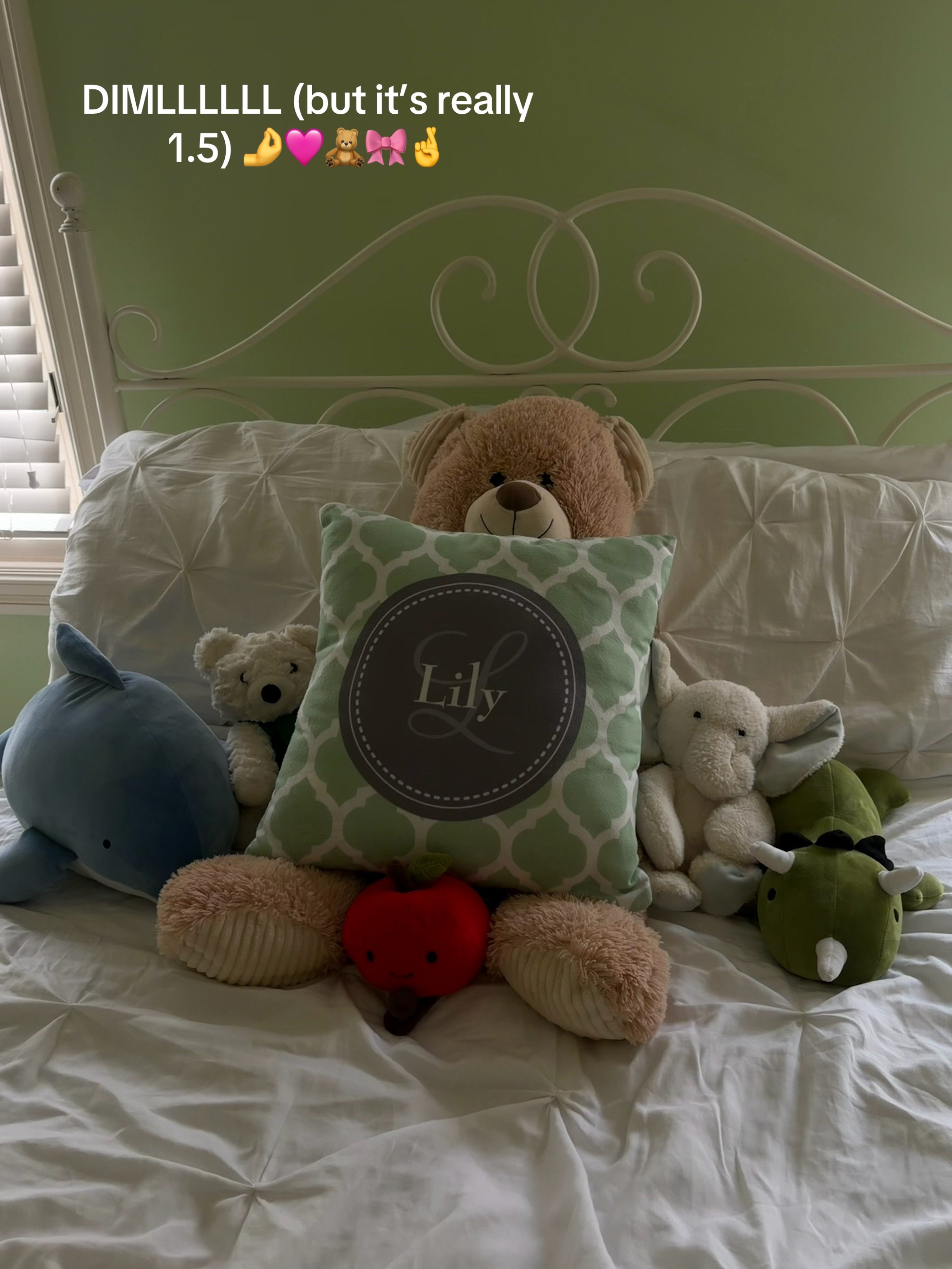 @Lily Leone