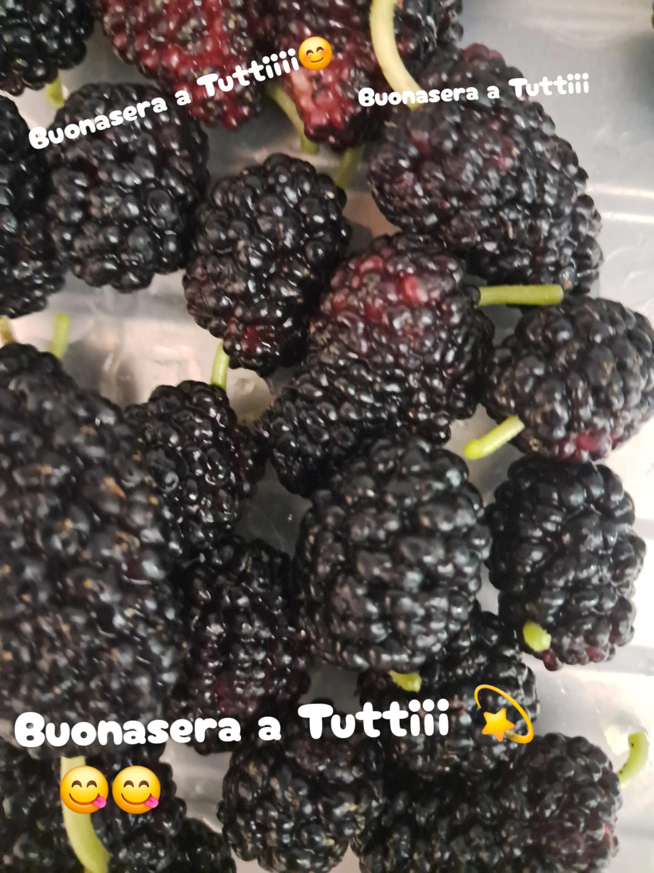 @rosa.esposito82