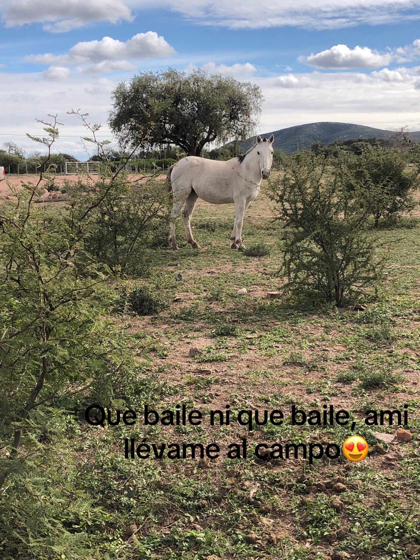 @Majo Coria