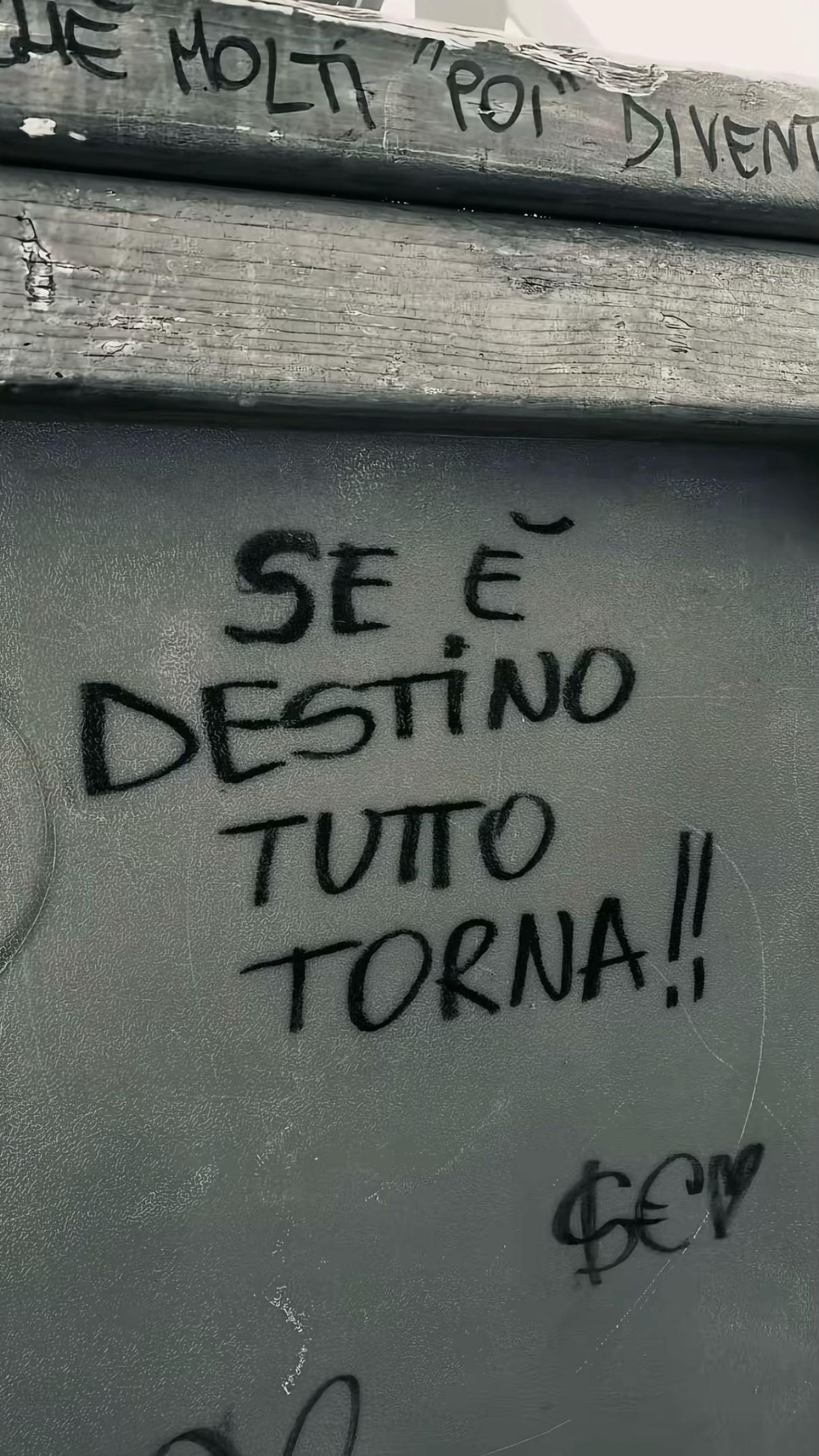@lara🤍