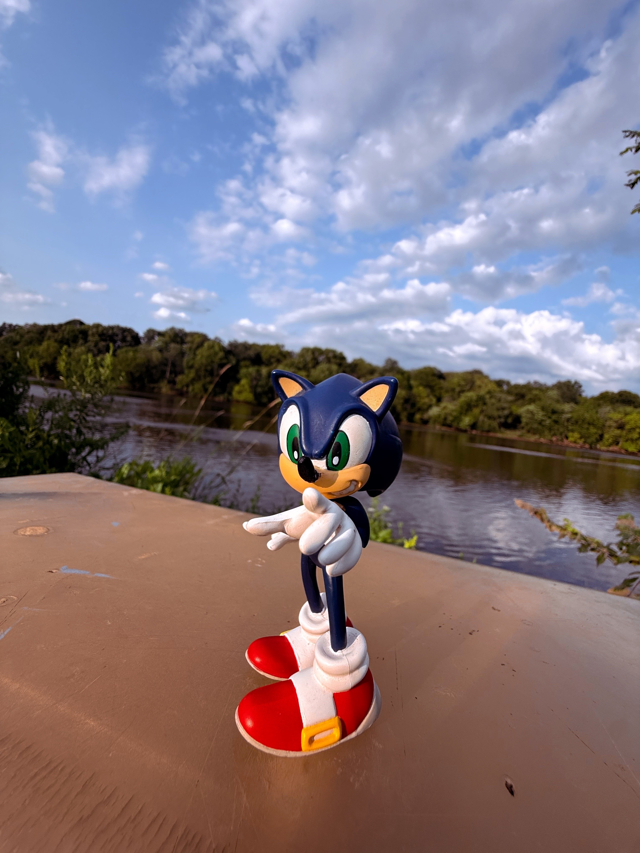 @the_sonic_collector132