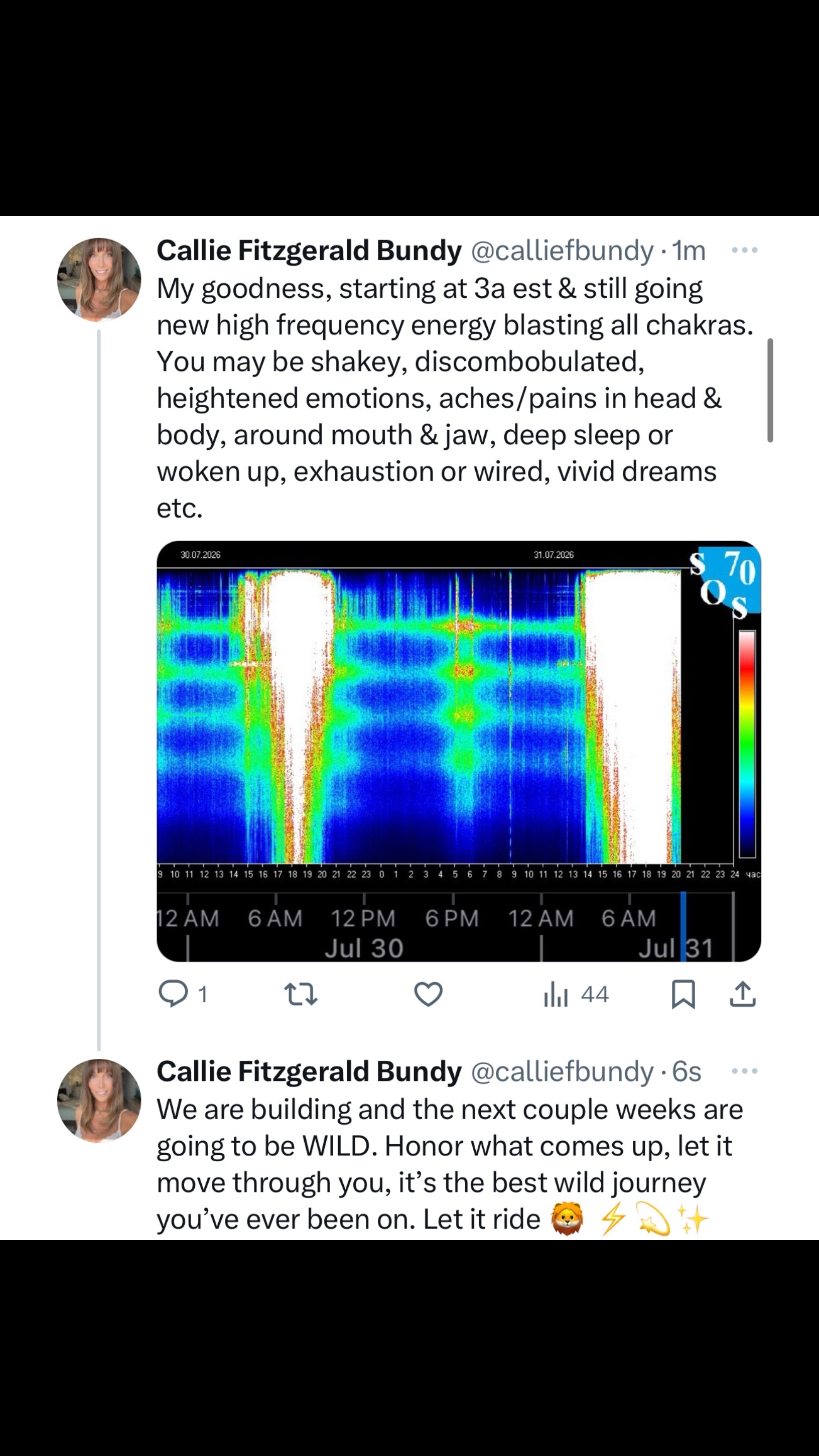 @calliefitzgeraldbundy