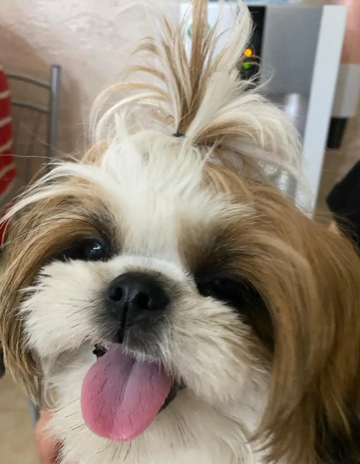 @𝔐𝔍