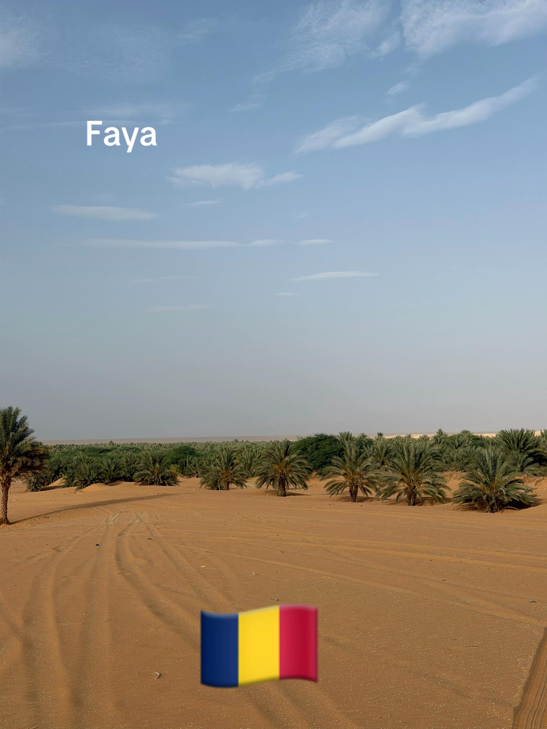 @Tourgoudi 235