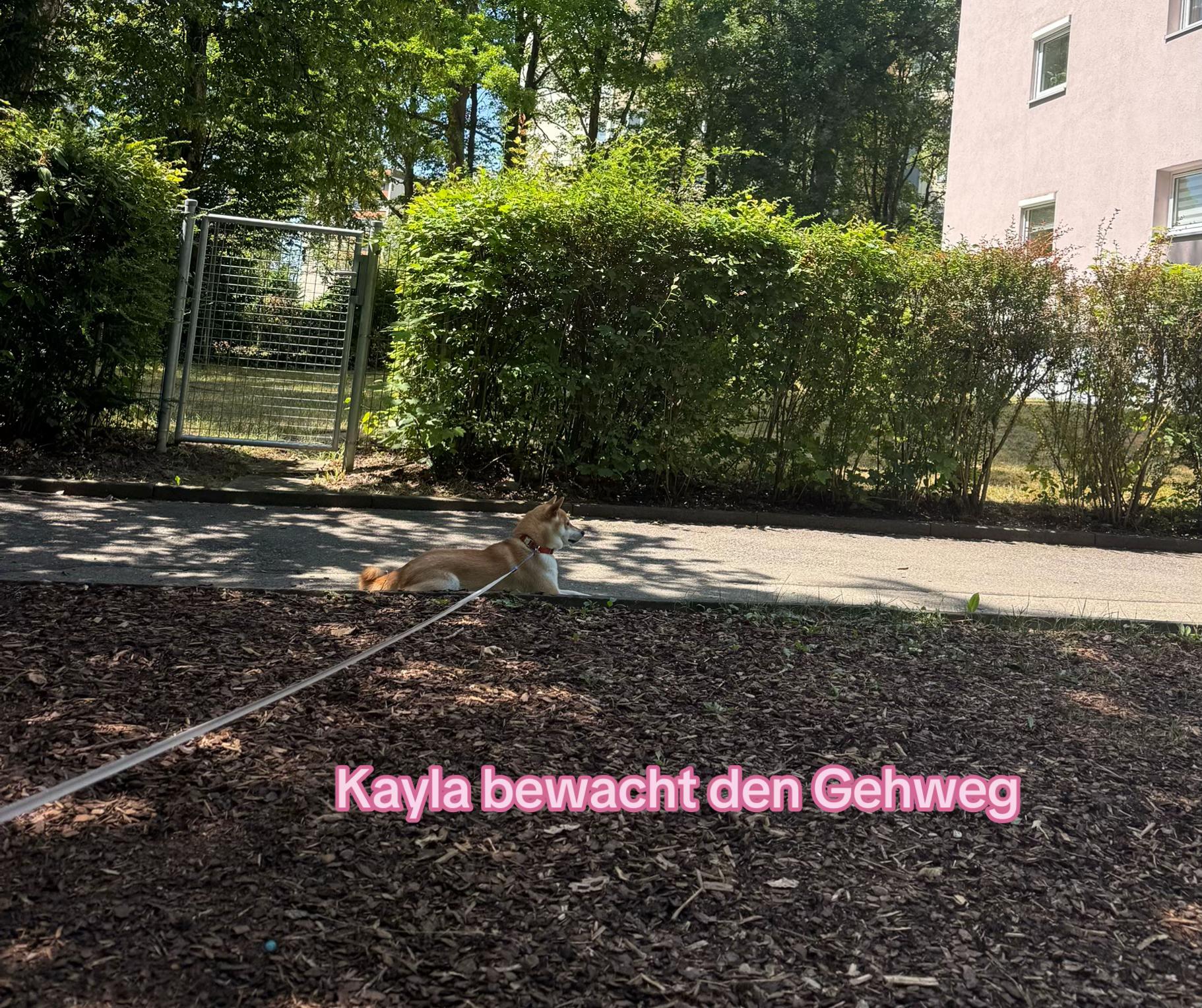 @Kayla