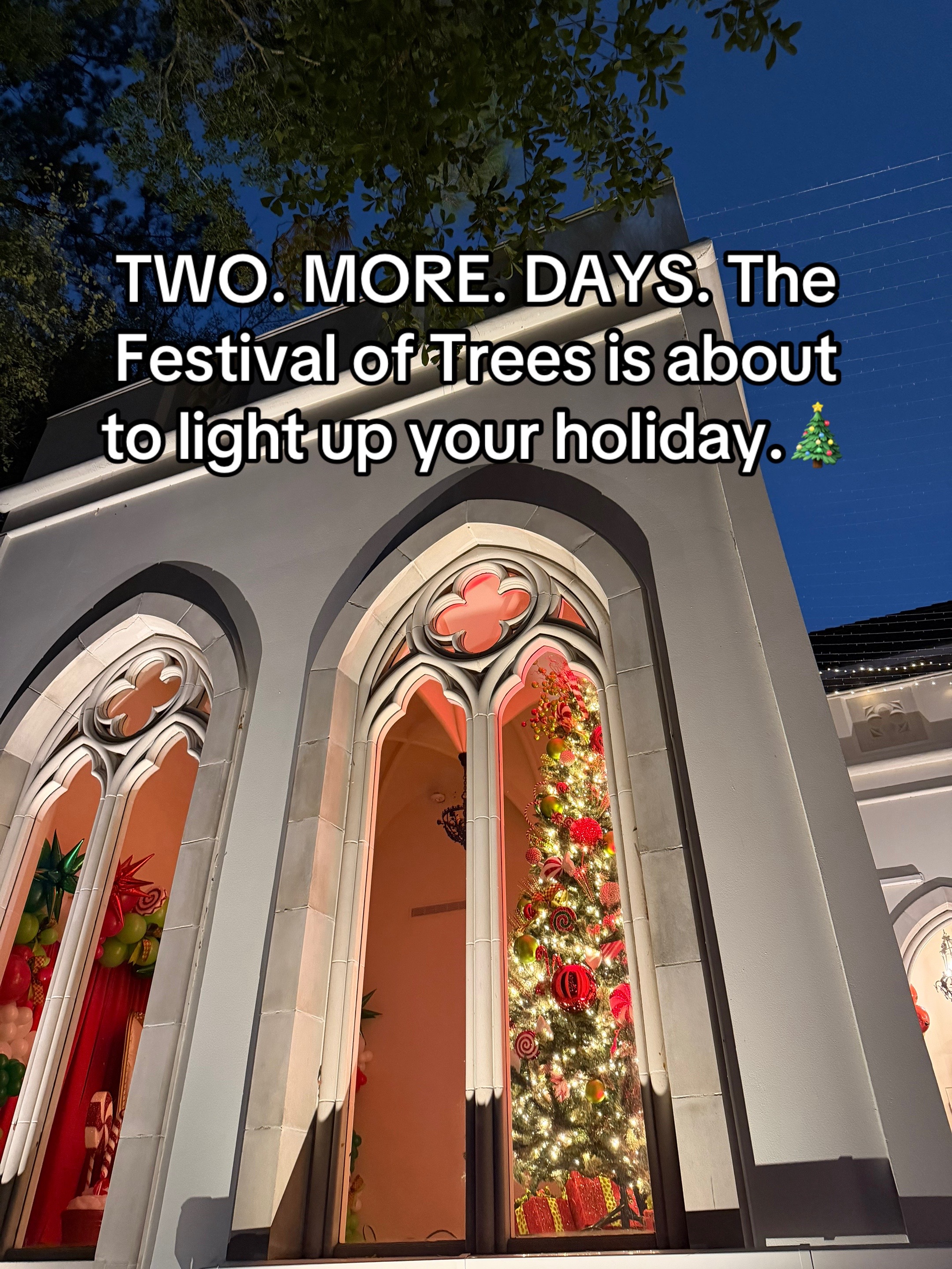 @Festival of Trees