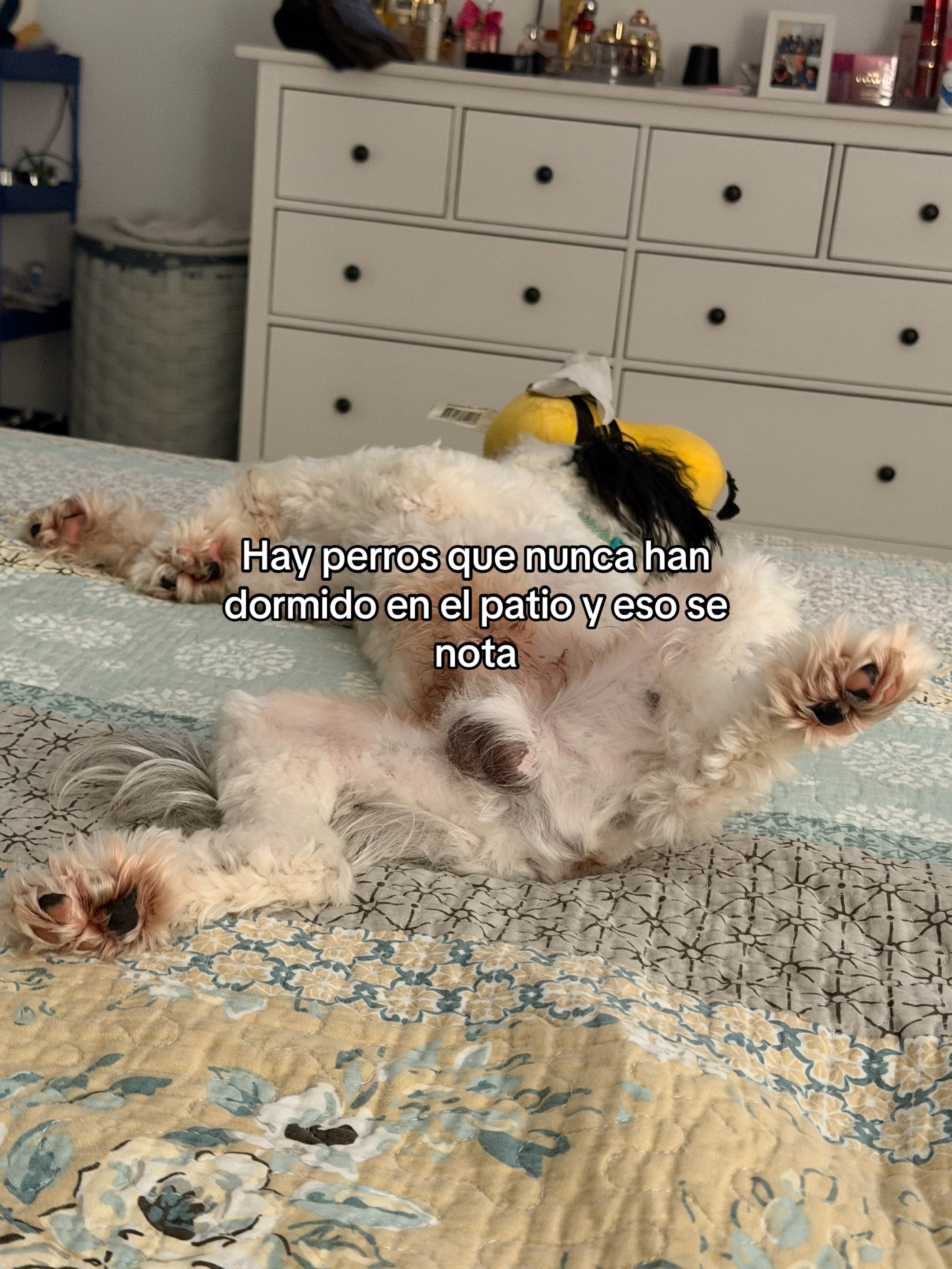@Liliana cm