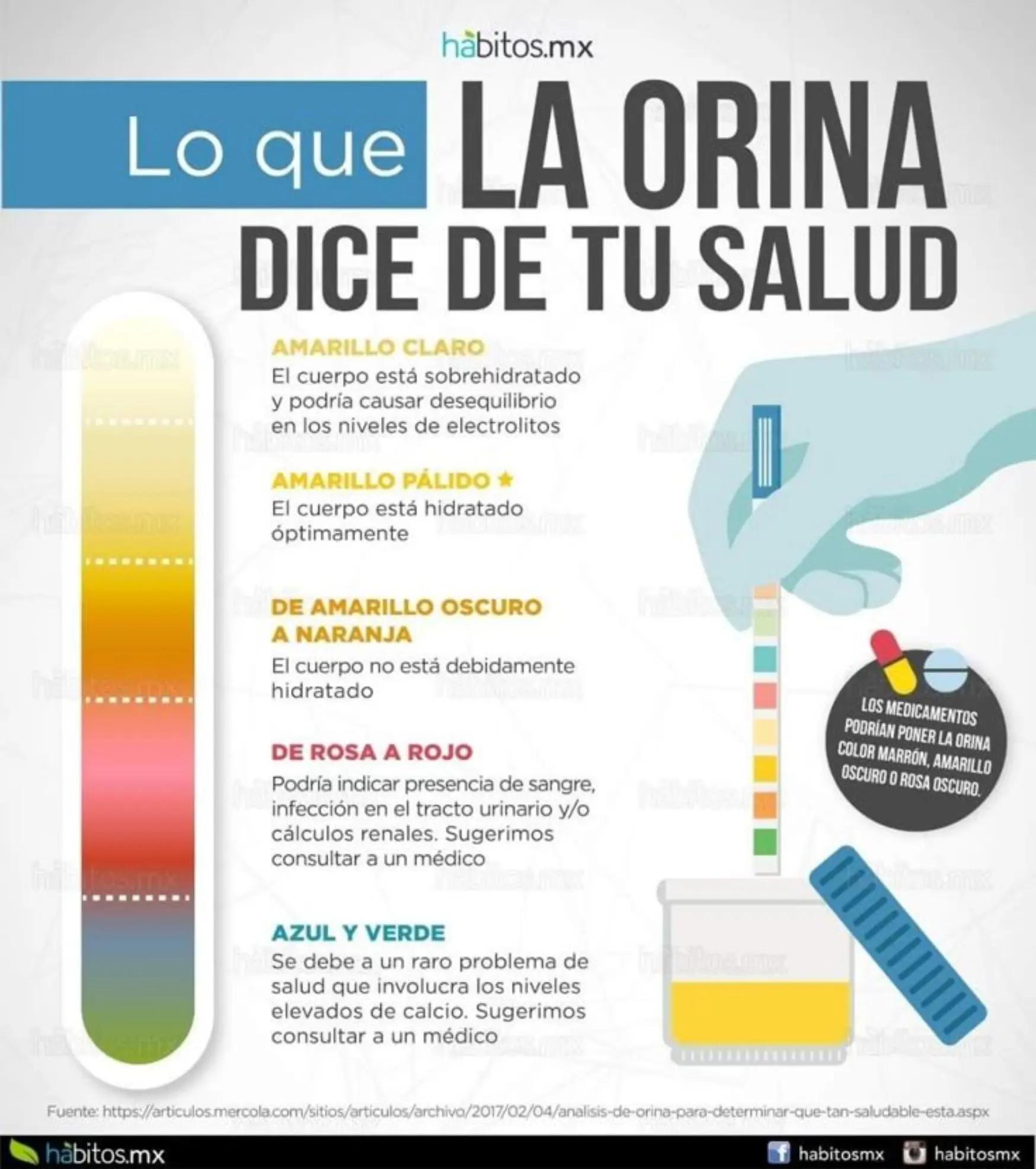 @Soy Luis Marono