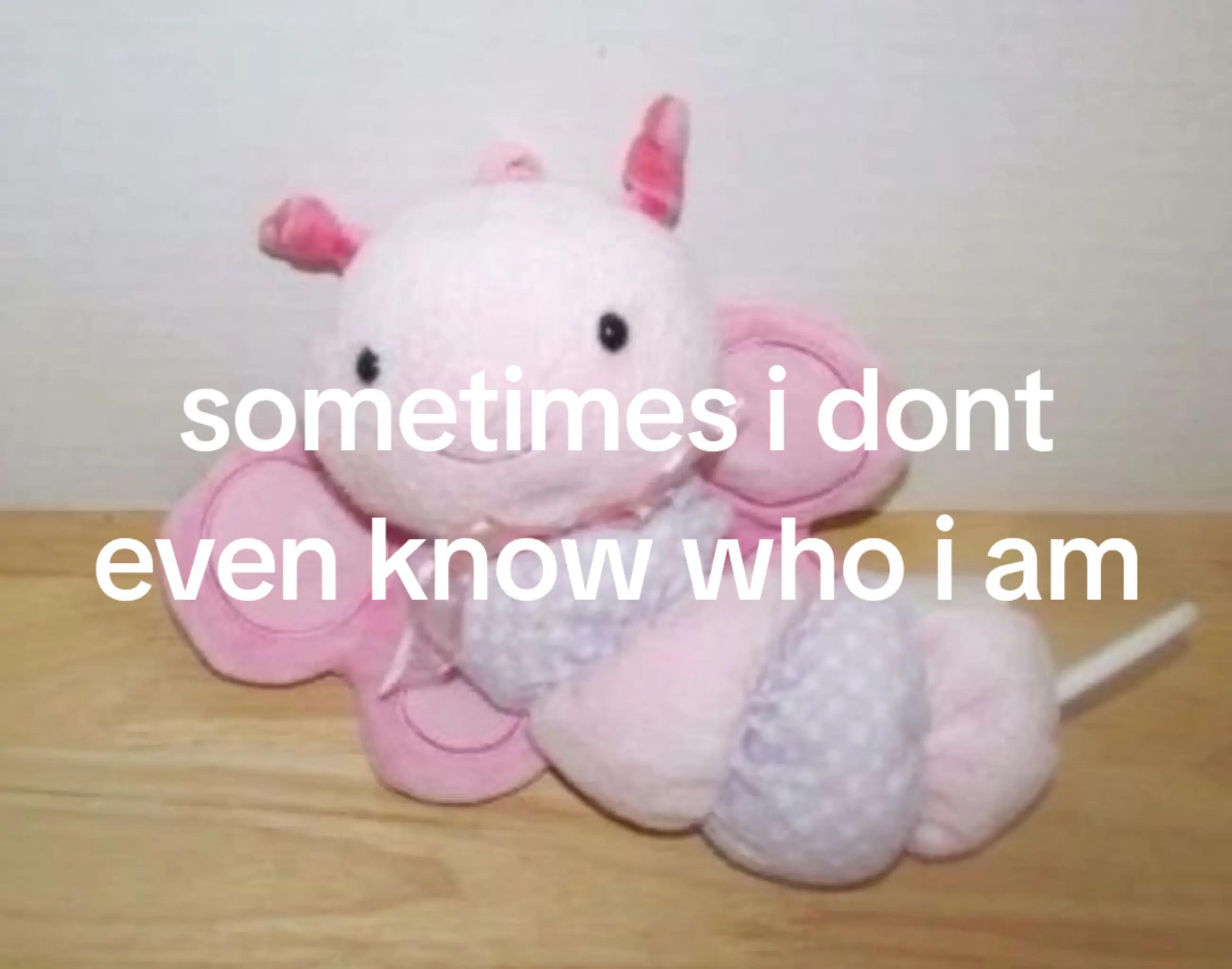 @bunny