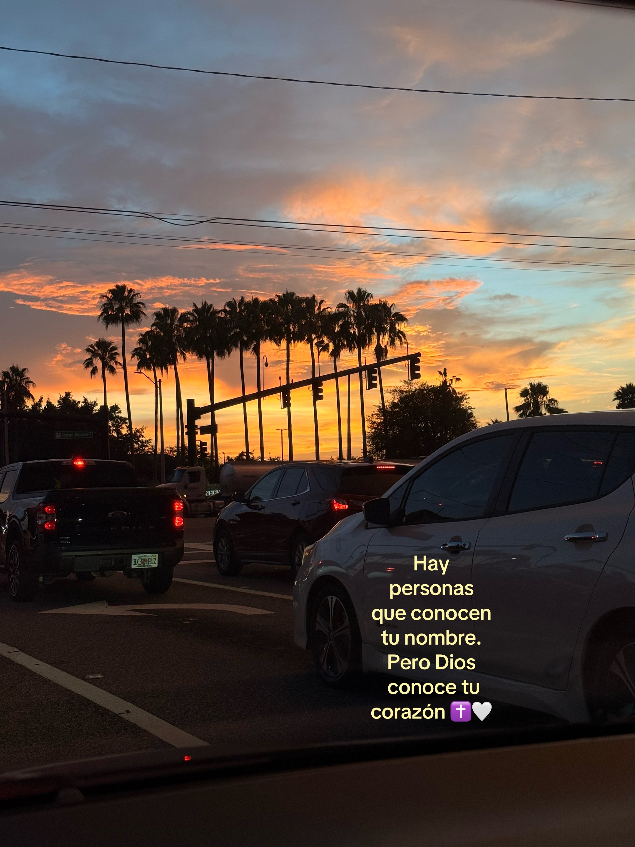 @Mari G 🌷