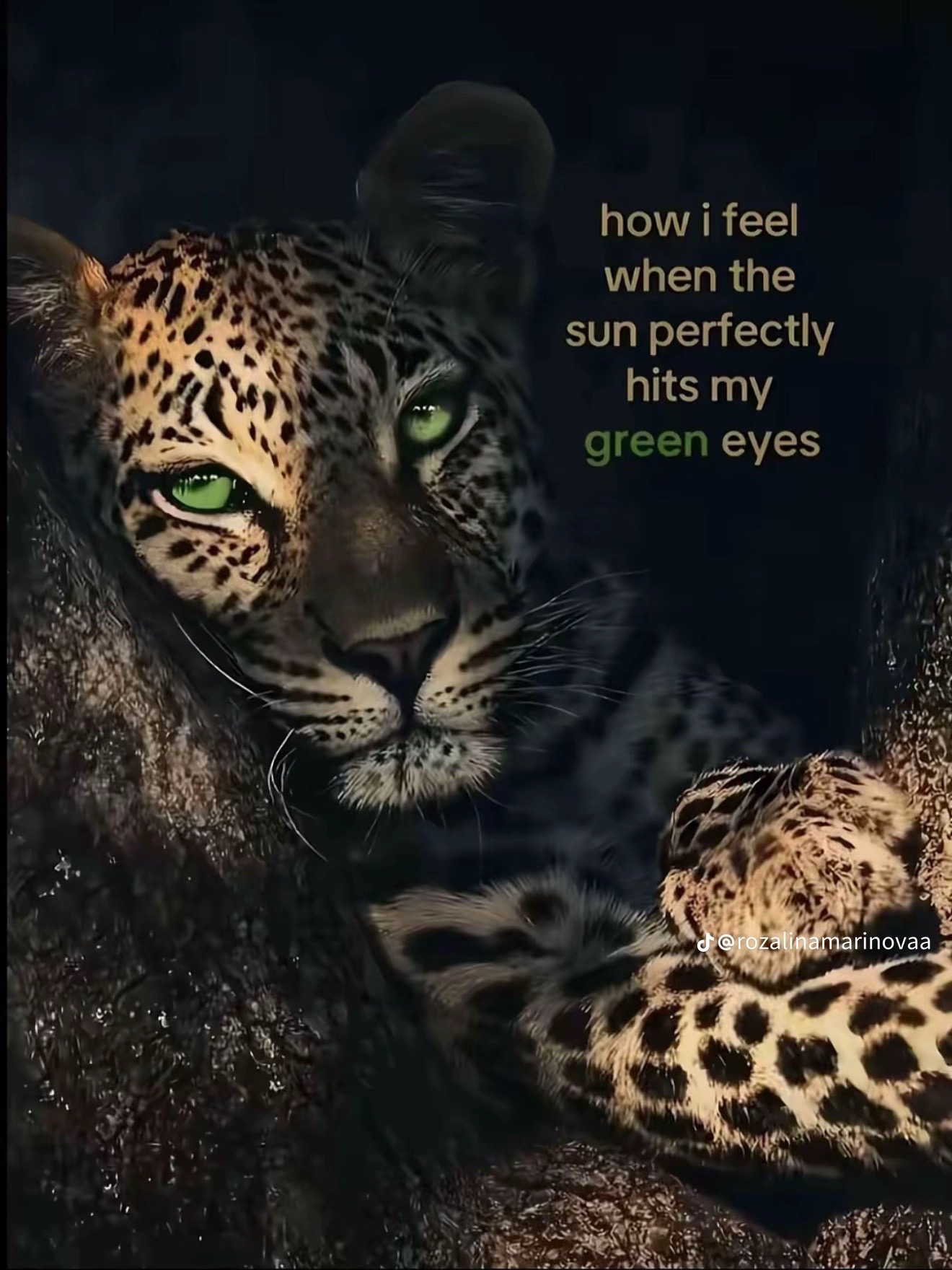 @Katie⁷
