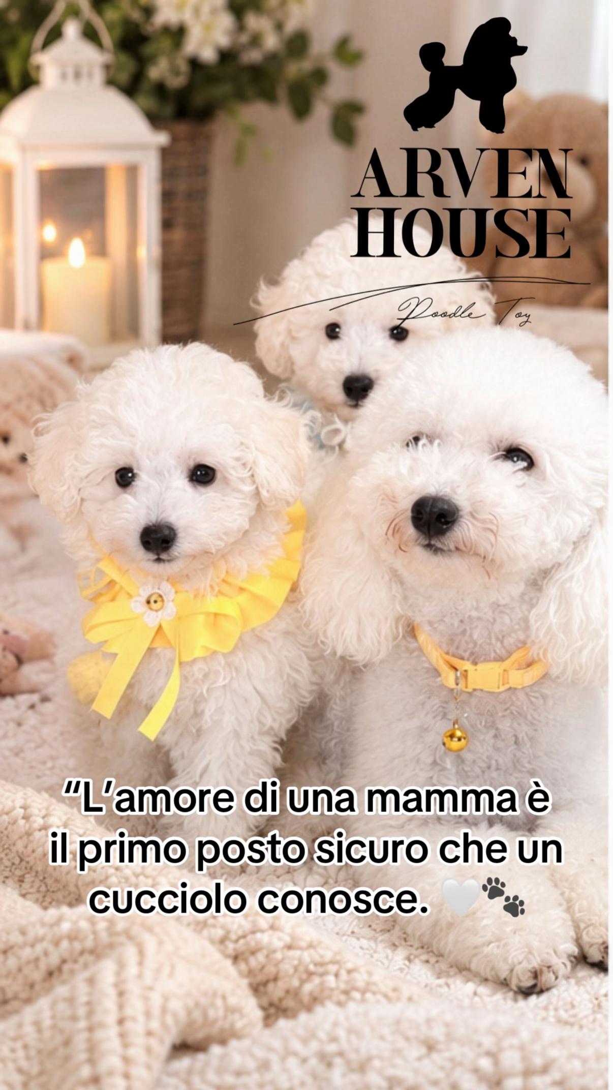 @Allevamento Arven house