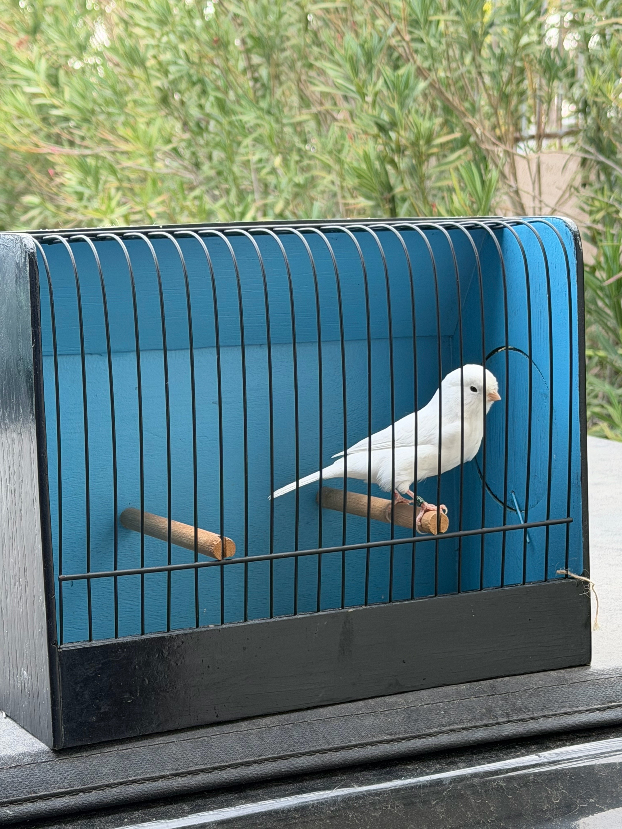 @AviarioUre&ntilde;a