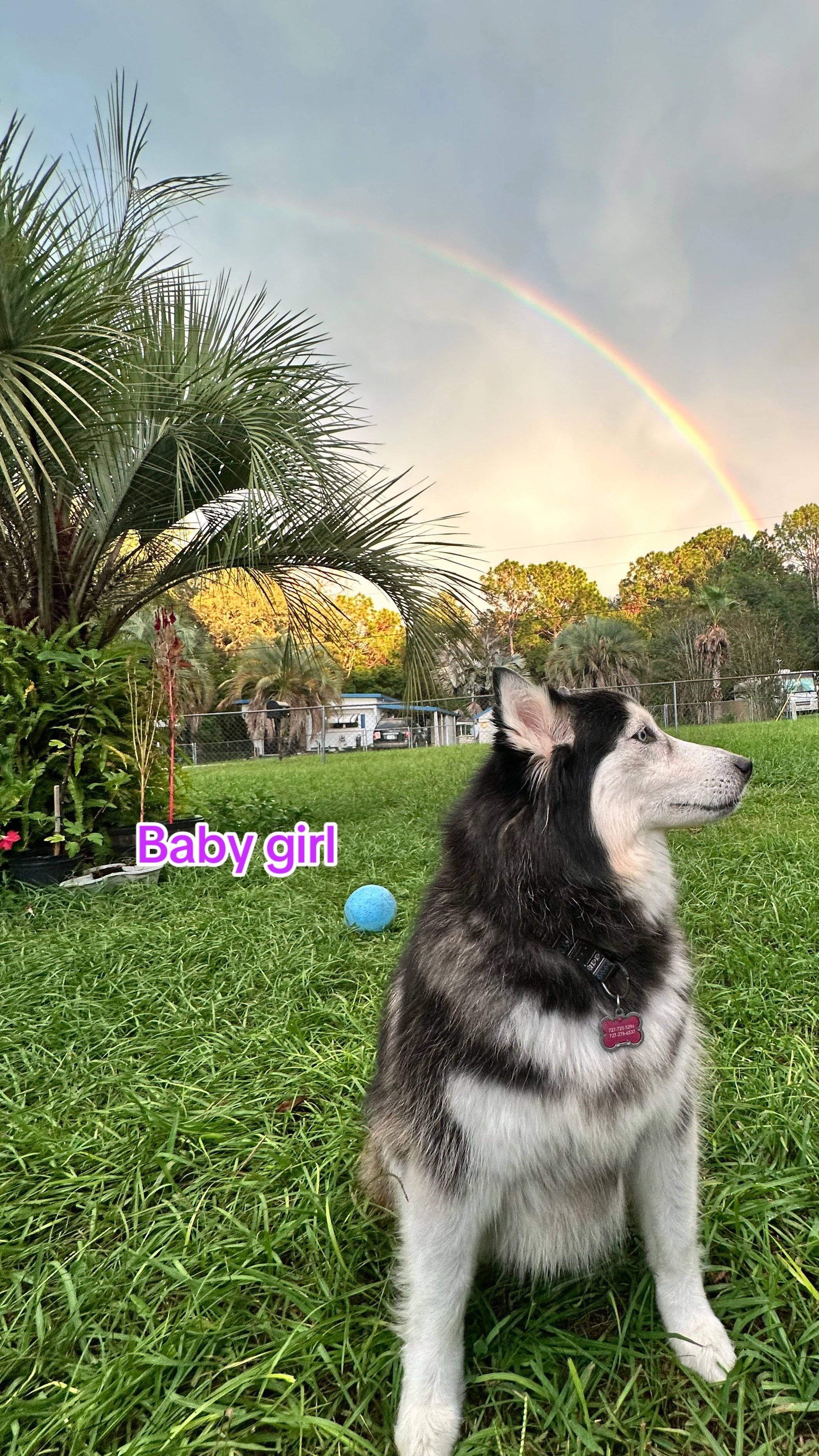 @AMHWildCreations
