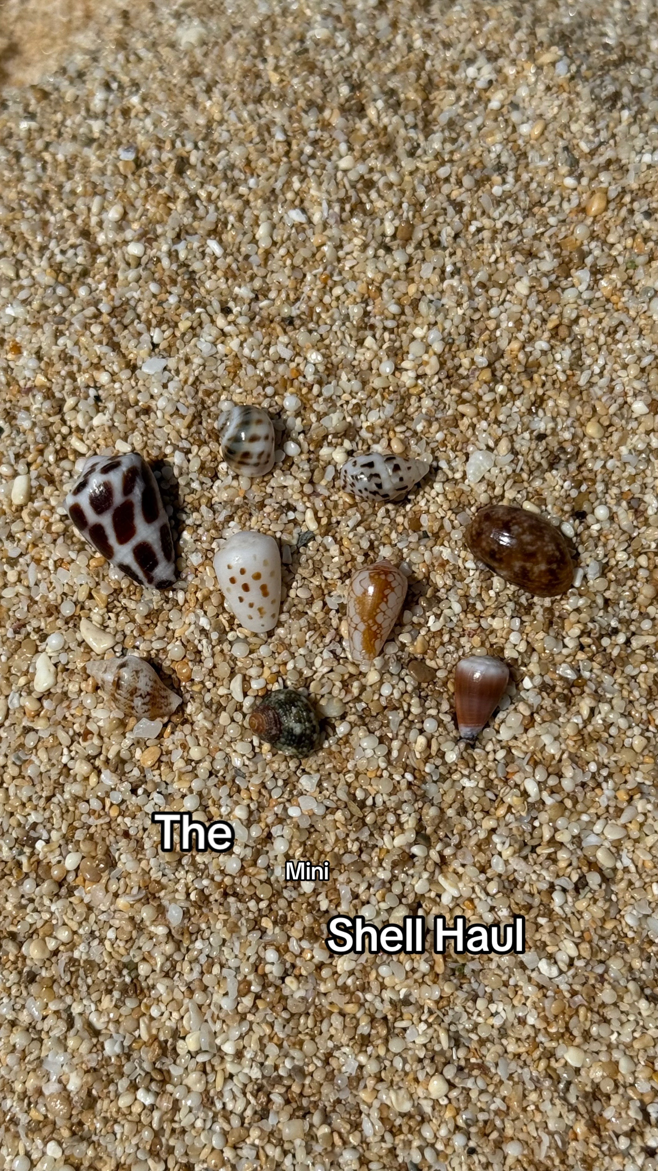 @hishellguy