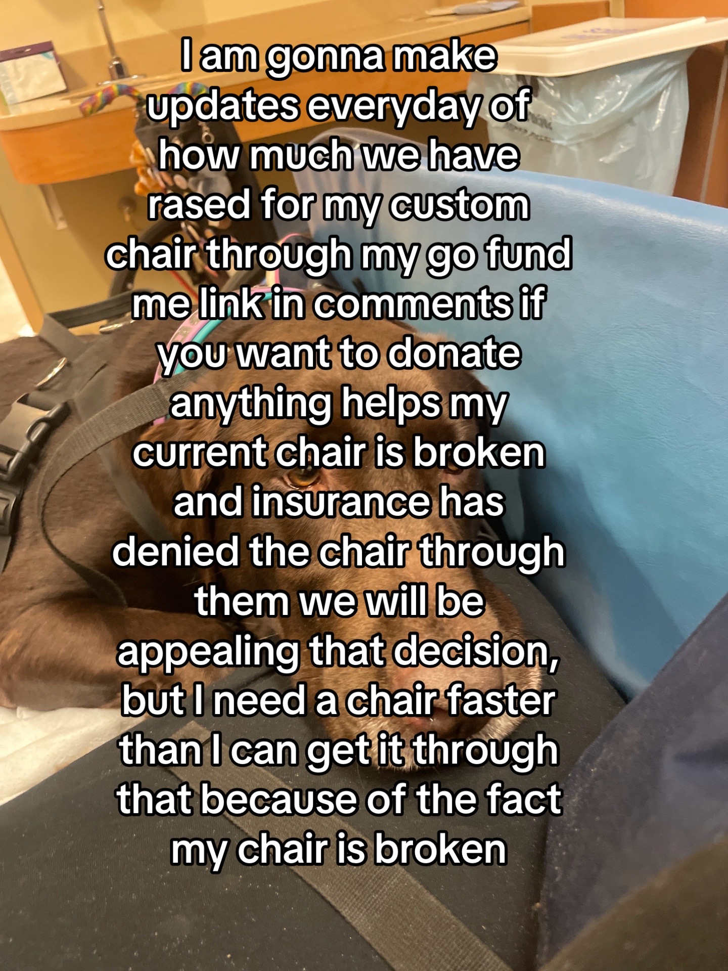 @♿️🦓Chronically_crow🦓♿️