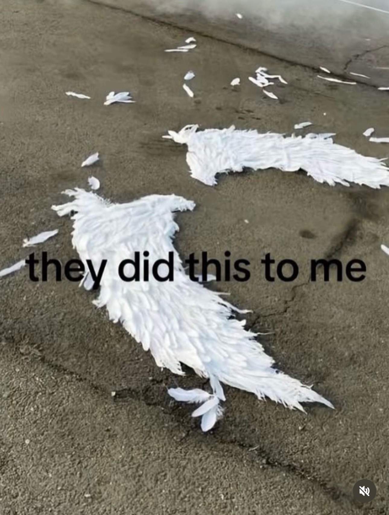 @JT