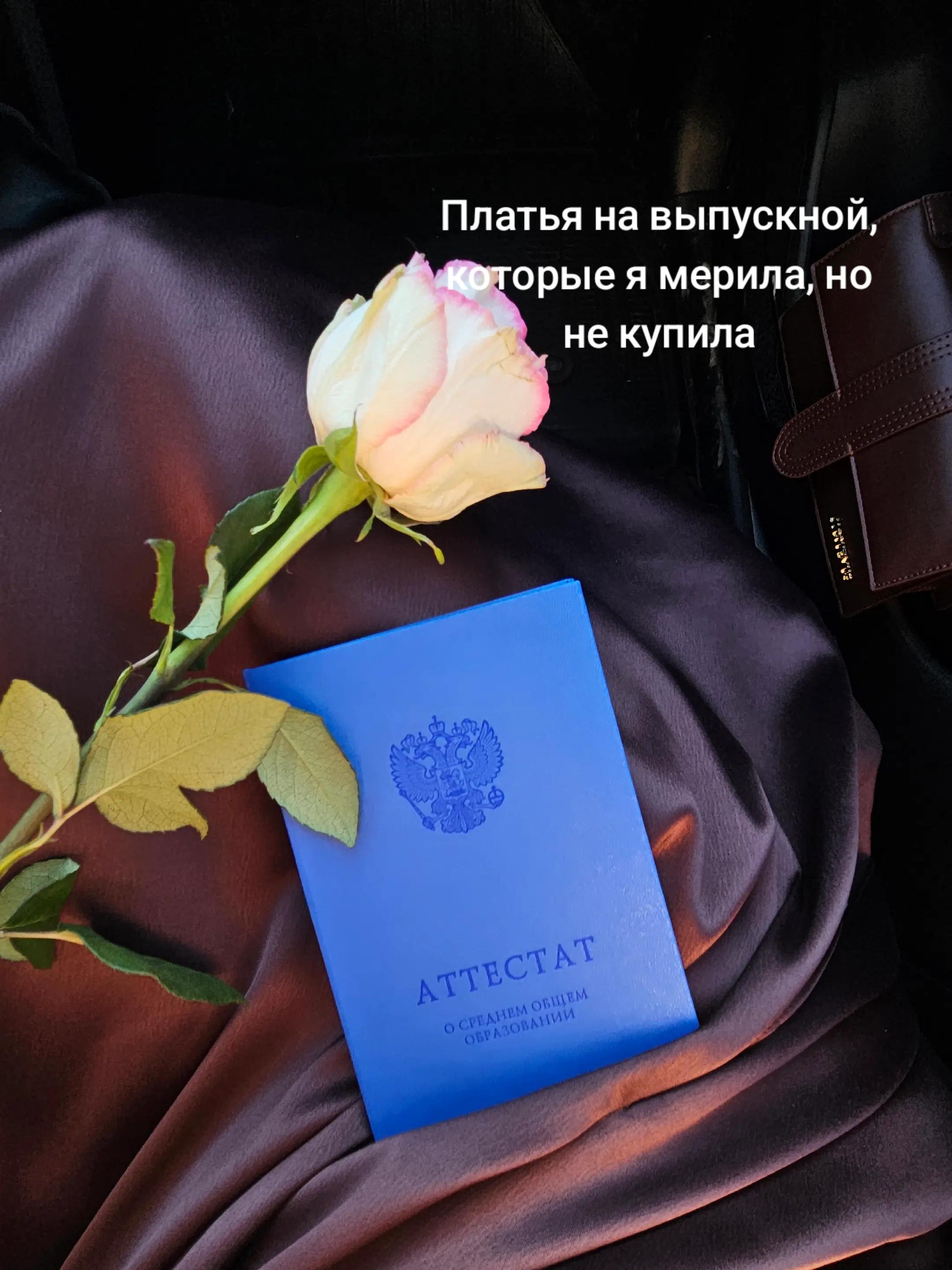 @Тгк: tanya of gossip