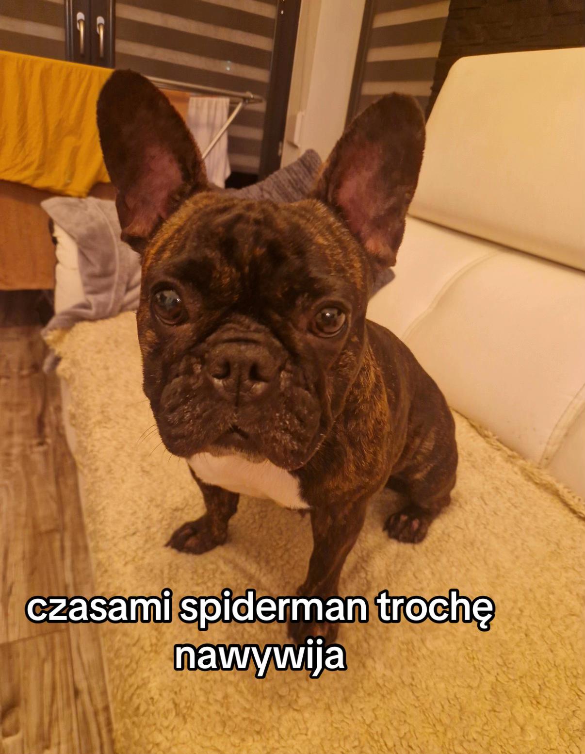 @kamil__goral