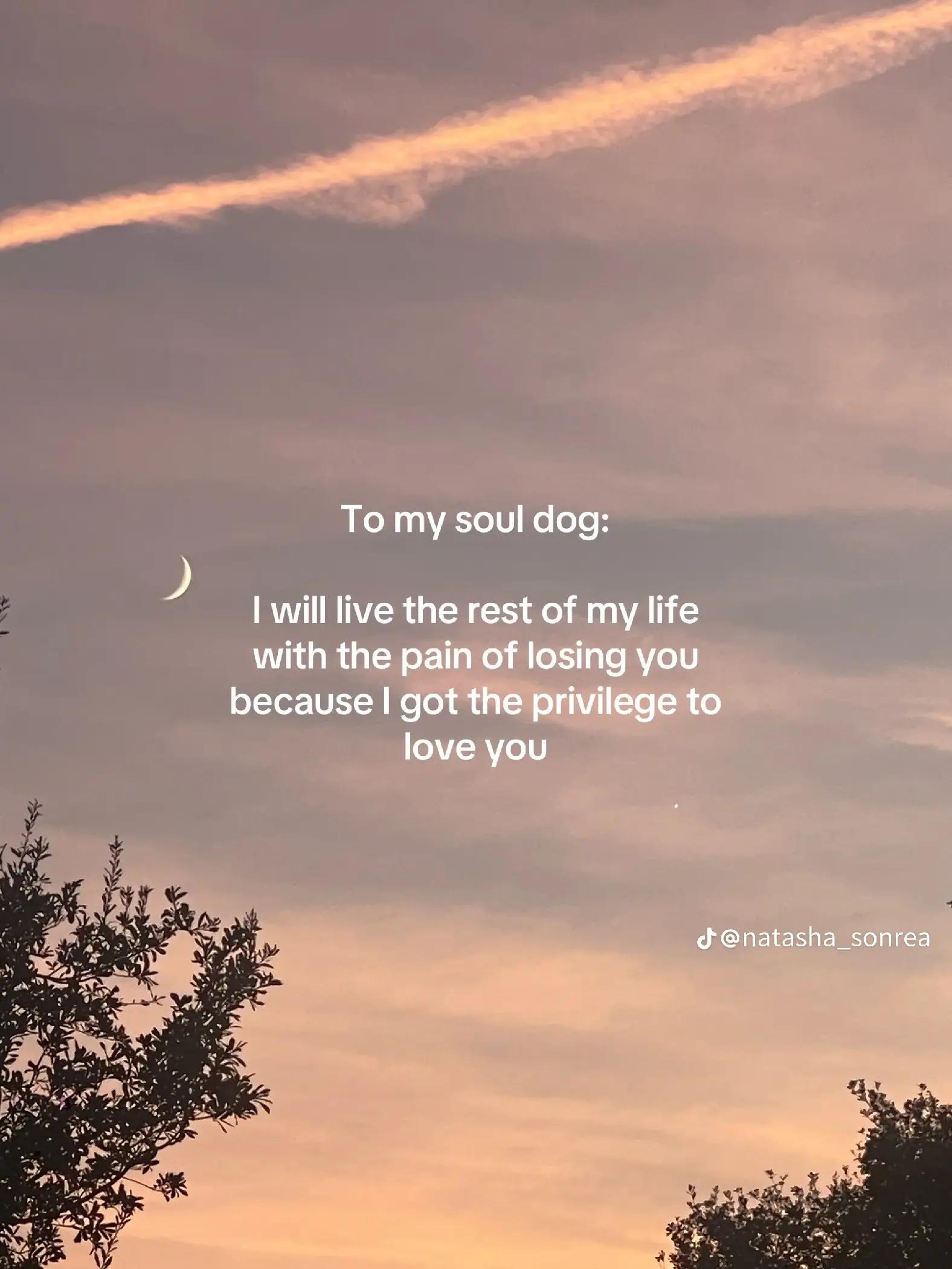 @🍃Joshua Guthrie🍃