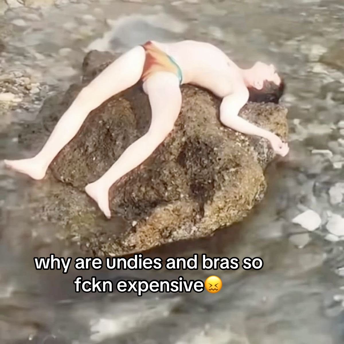 @🦈