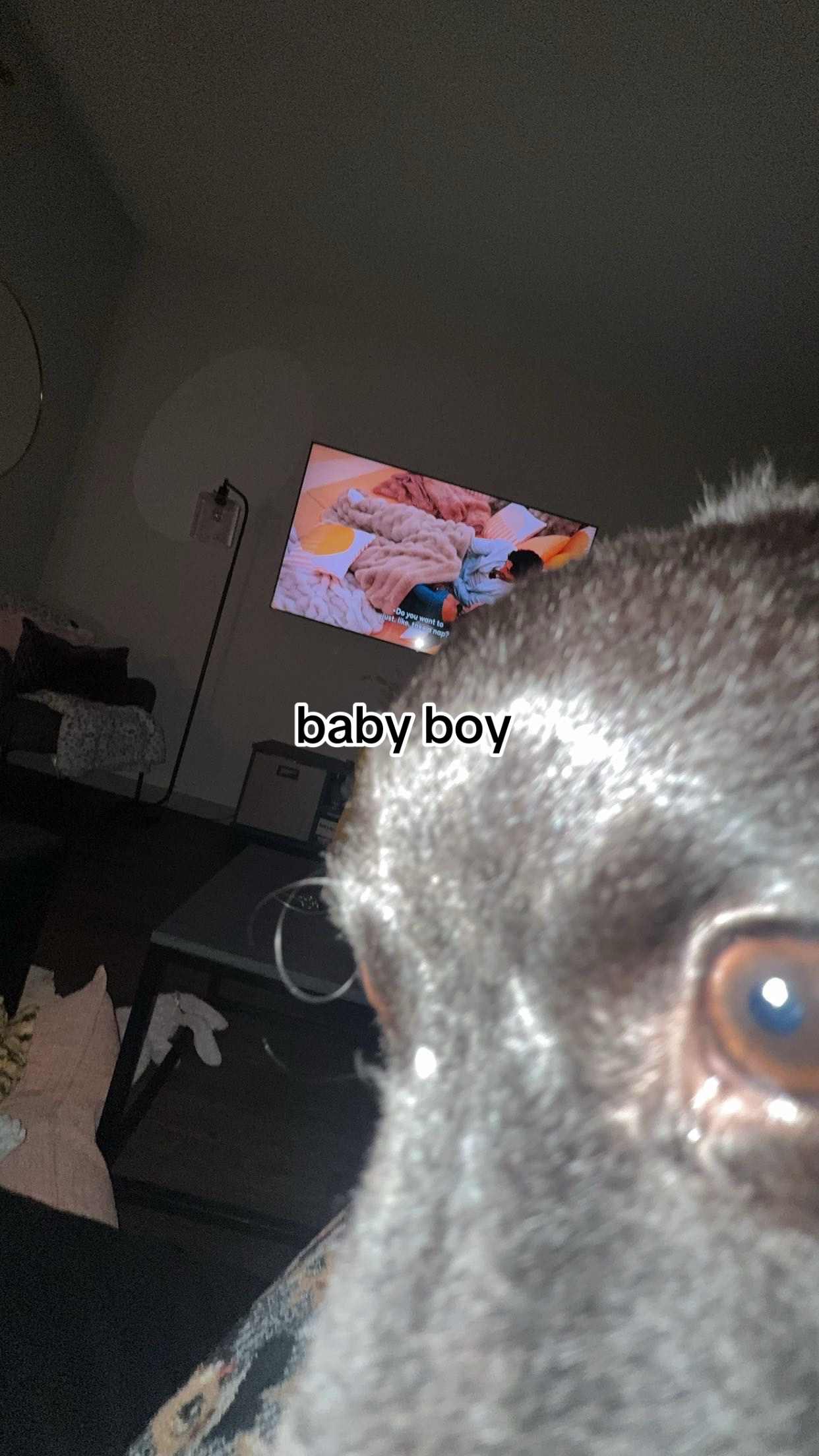 @B r i d g e t N e x t D o o r