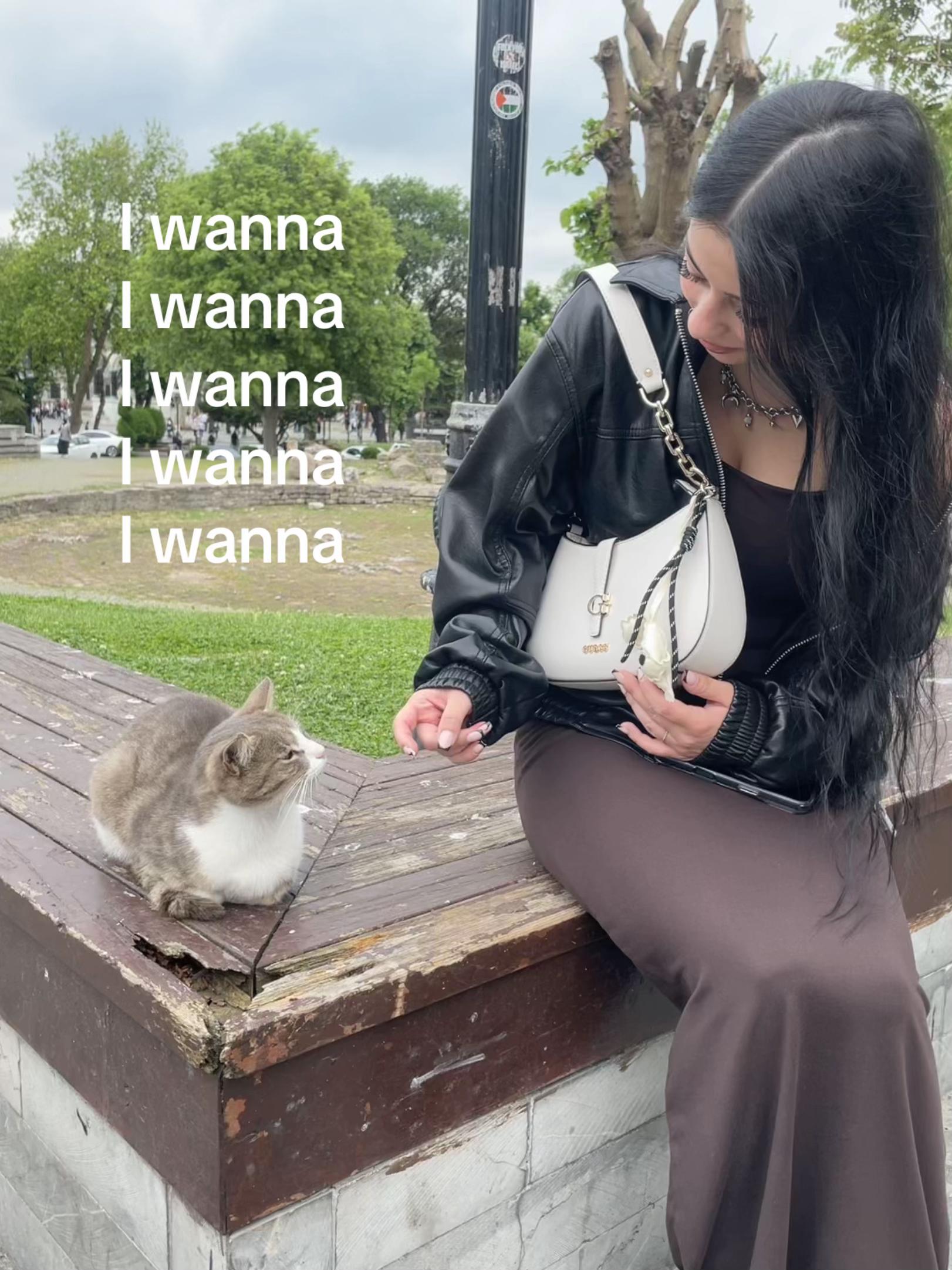 @Jazzmin