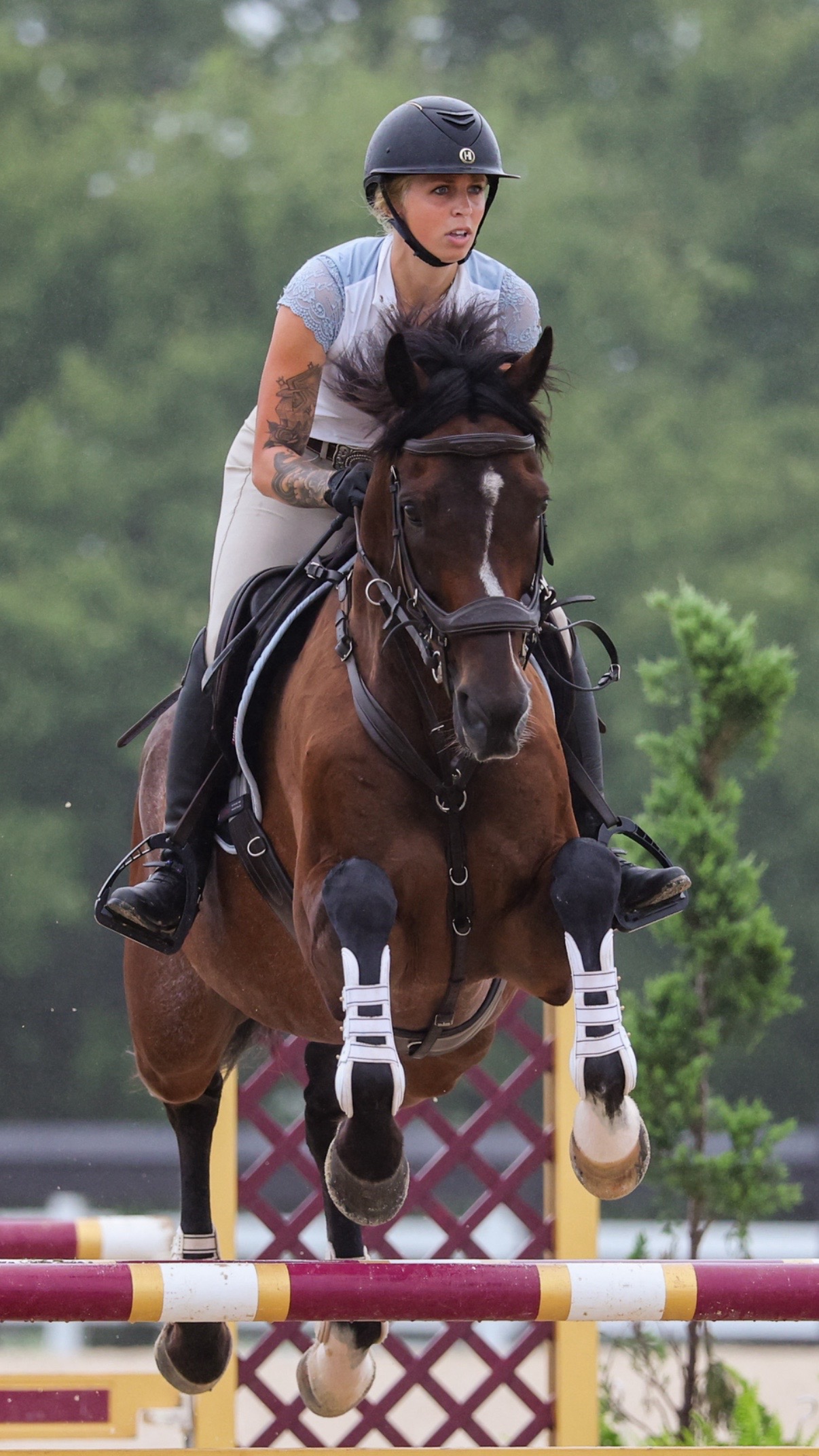@Lunar Hill Equestrian