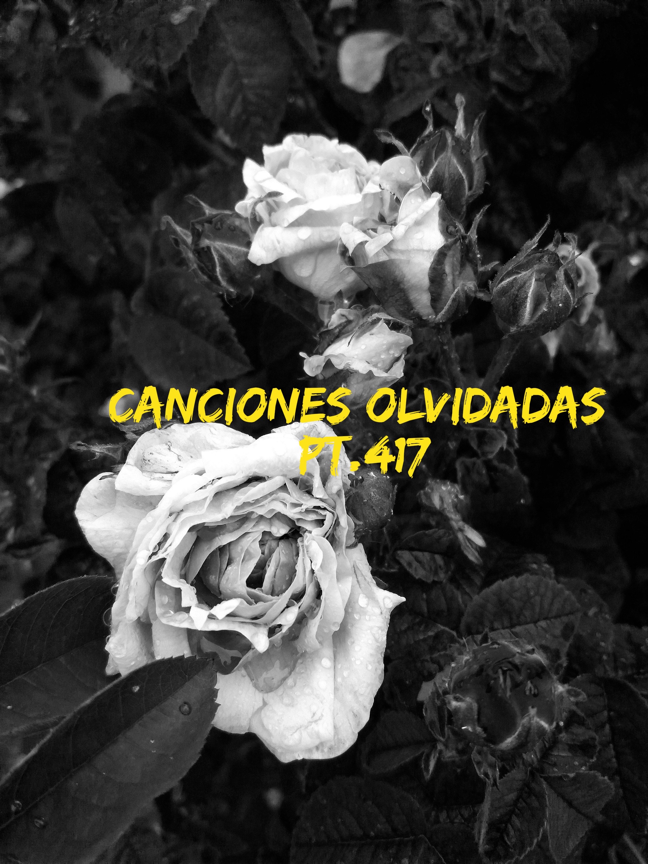@TUDJJD