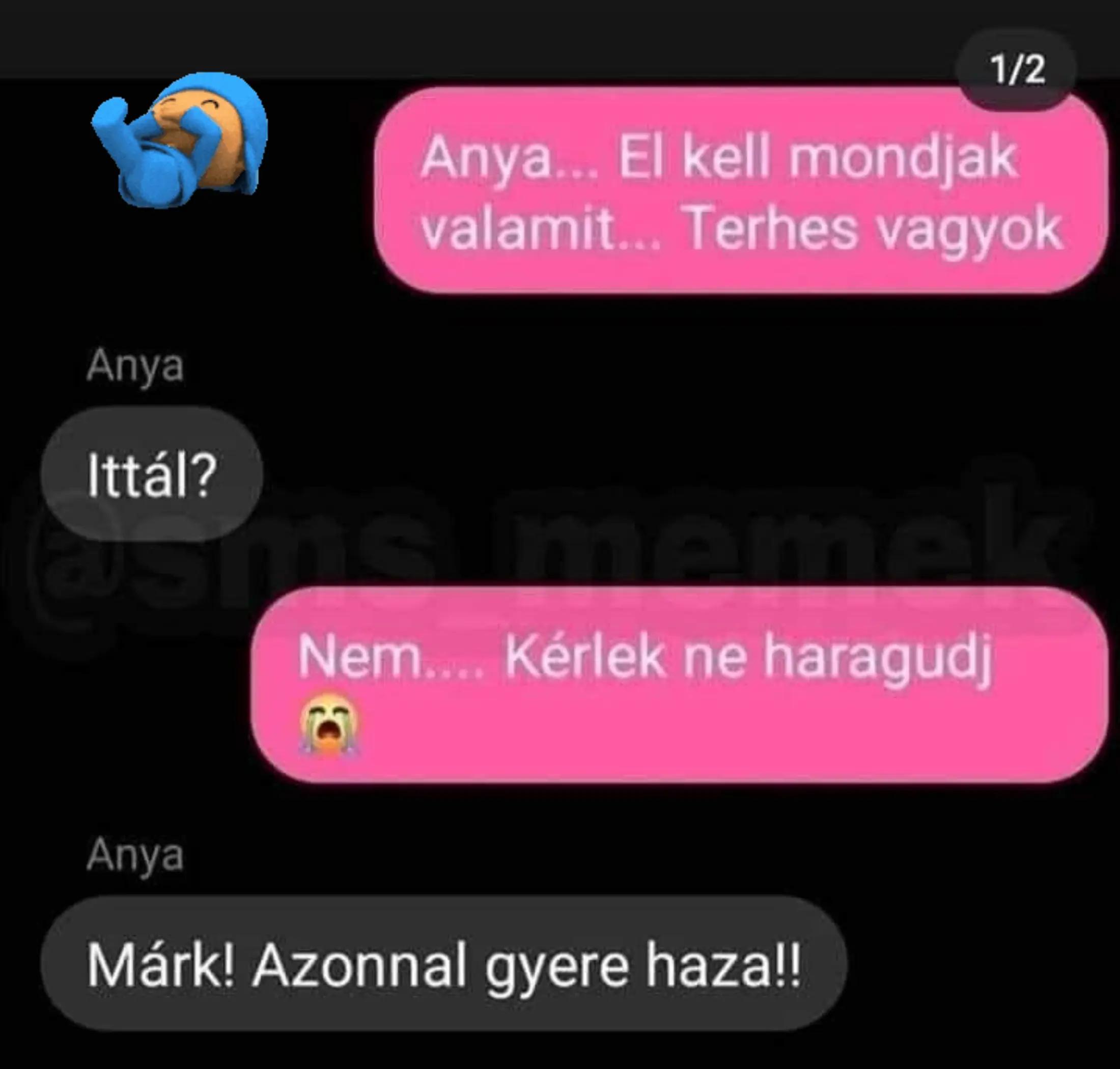 @IDEGBAJOS💀KEGYETLEN🪽RIBANC™️