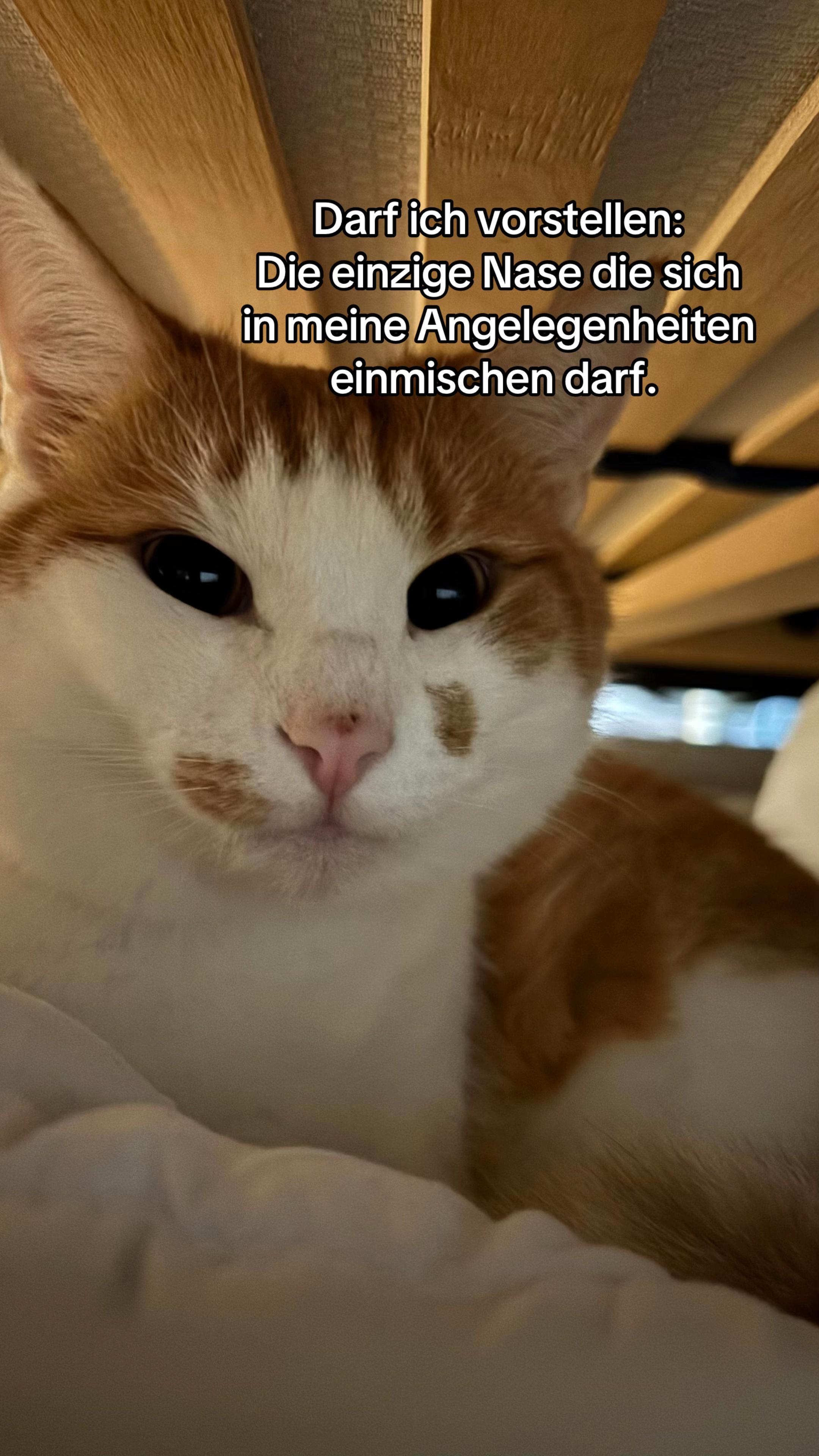 @ʝ&alpha;&iota;ѕѕ&iota;😌
