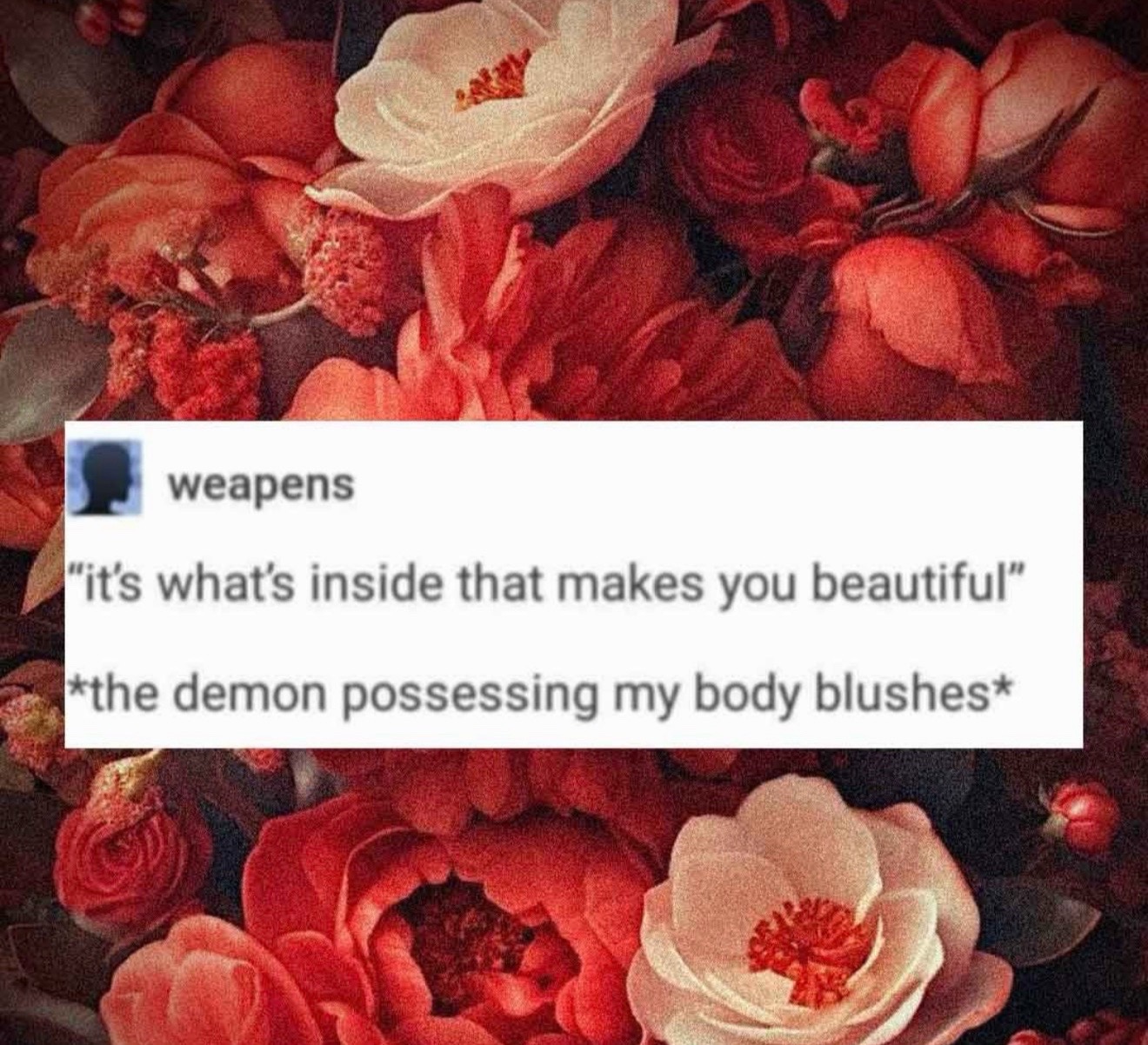 @Shan