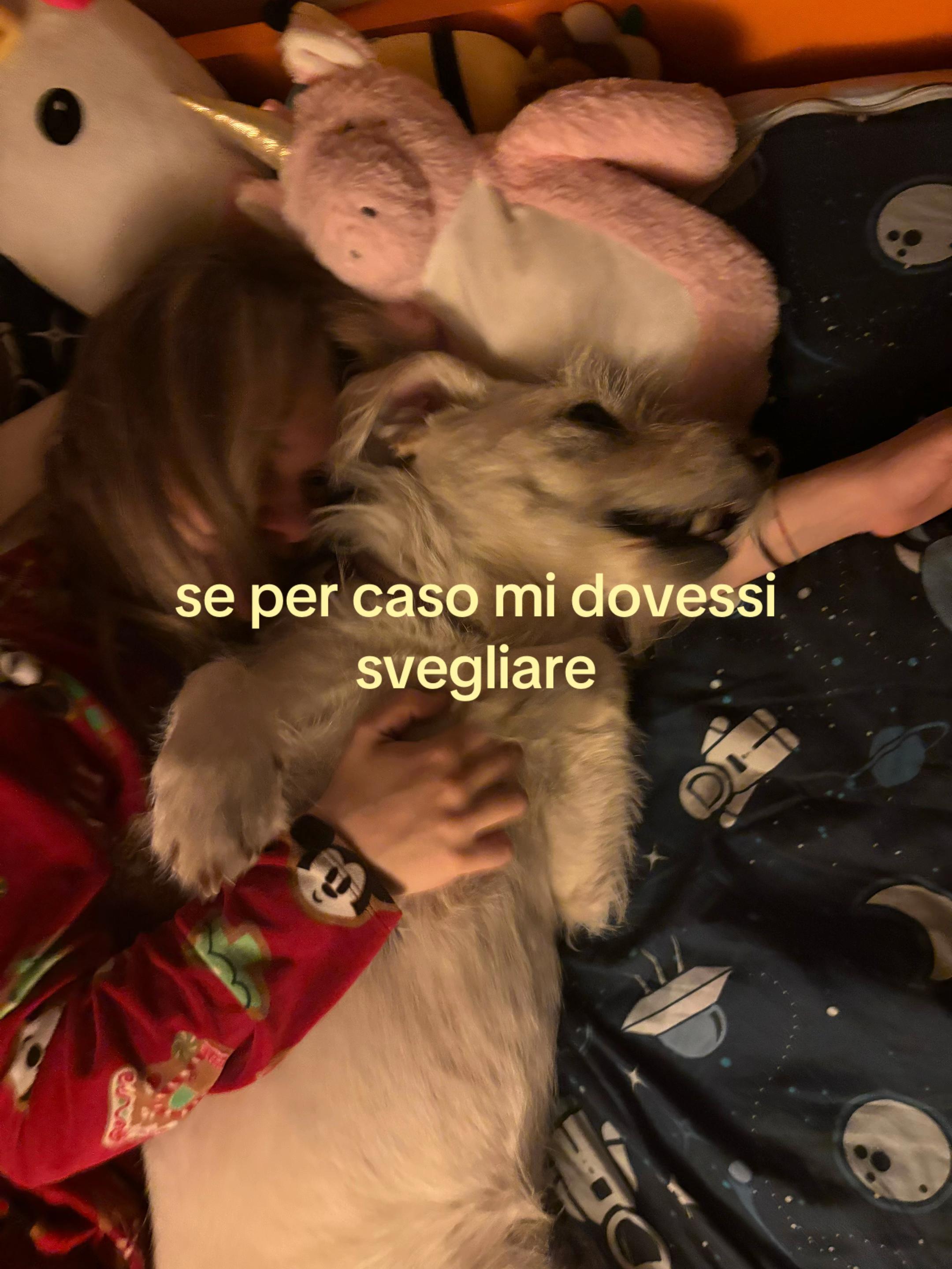 @𝓥𝓪𝓵𝓮𝓷𝓽𝓲𝓷𝓪🪽